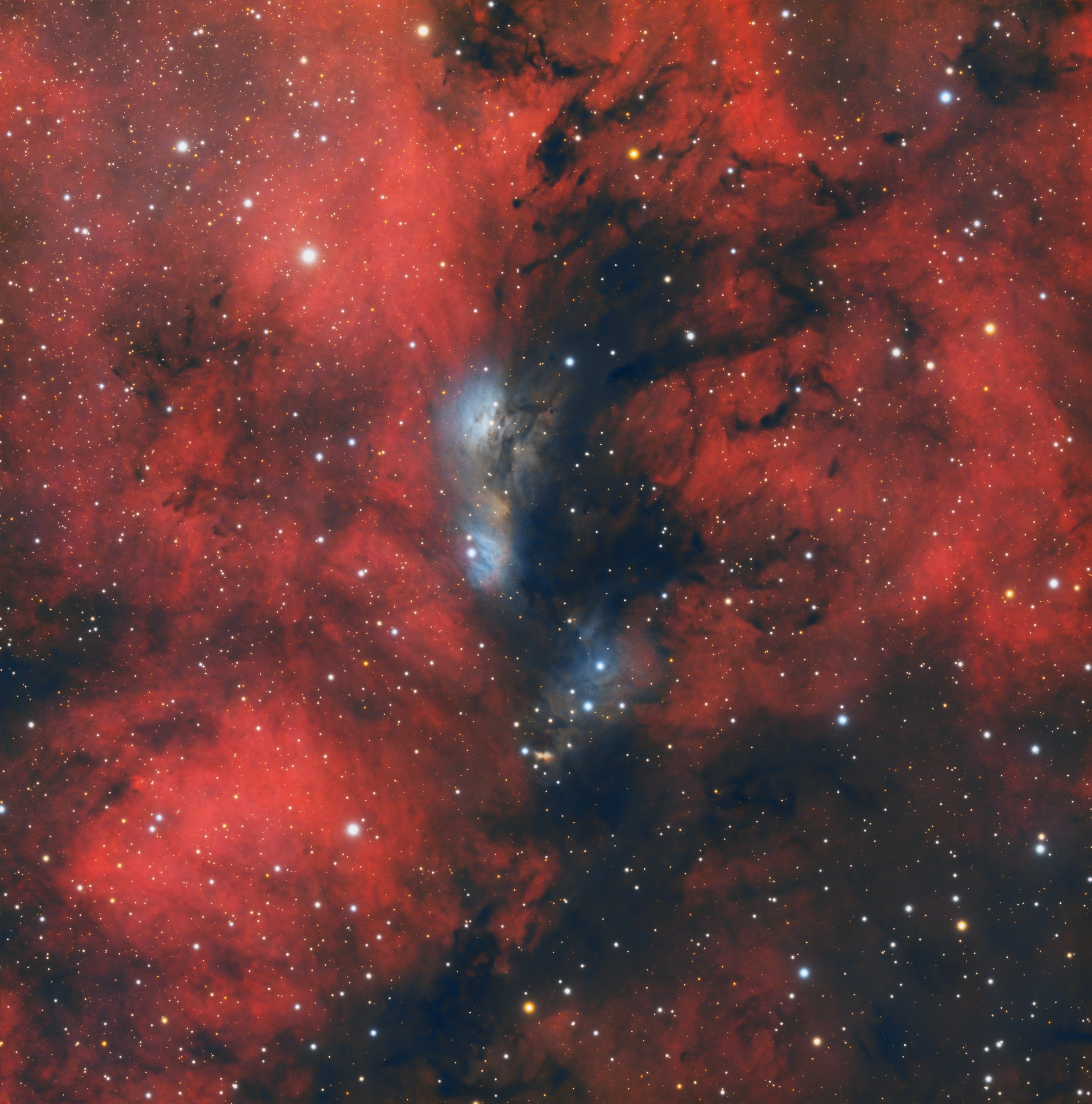 NGC 6914 Test mit Syqon Parallax und Starless