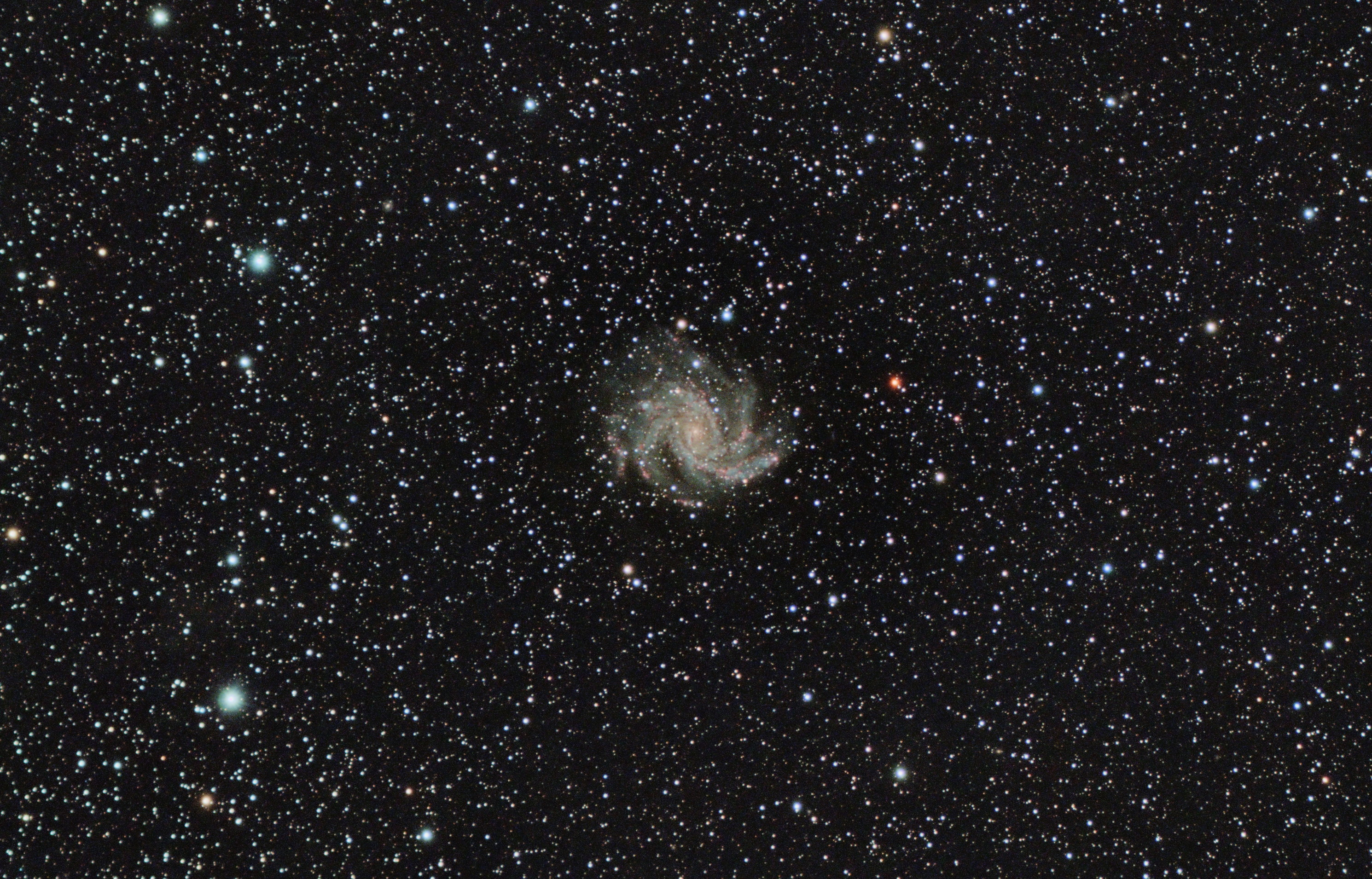 NGC 6946 - Feuerwerksgalaxie