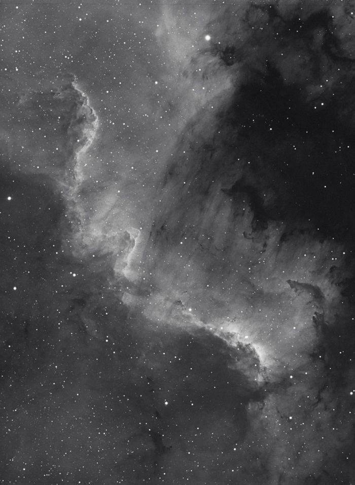 NGC 7000 - ein bissl früh