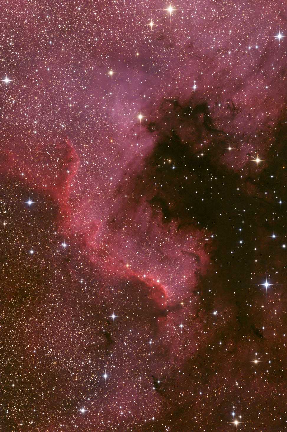 NGC 7000 - Great Wall