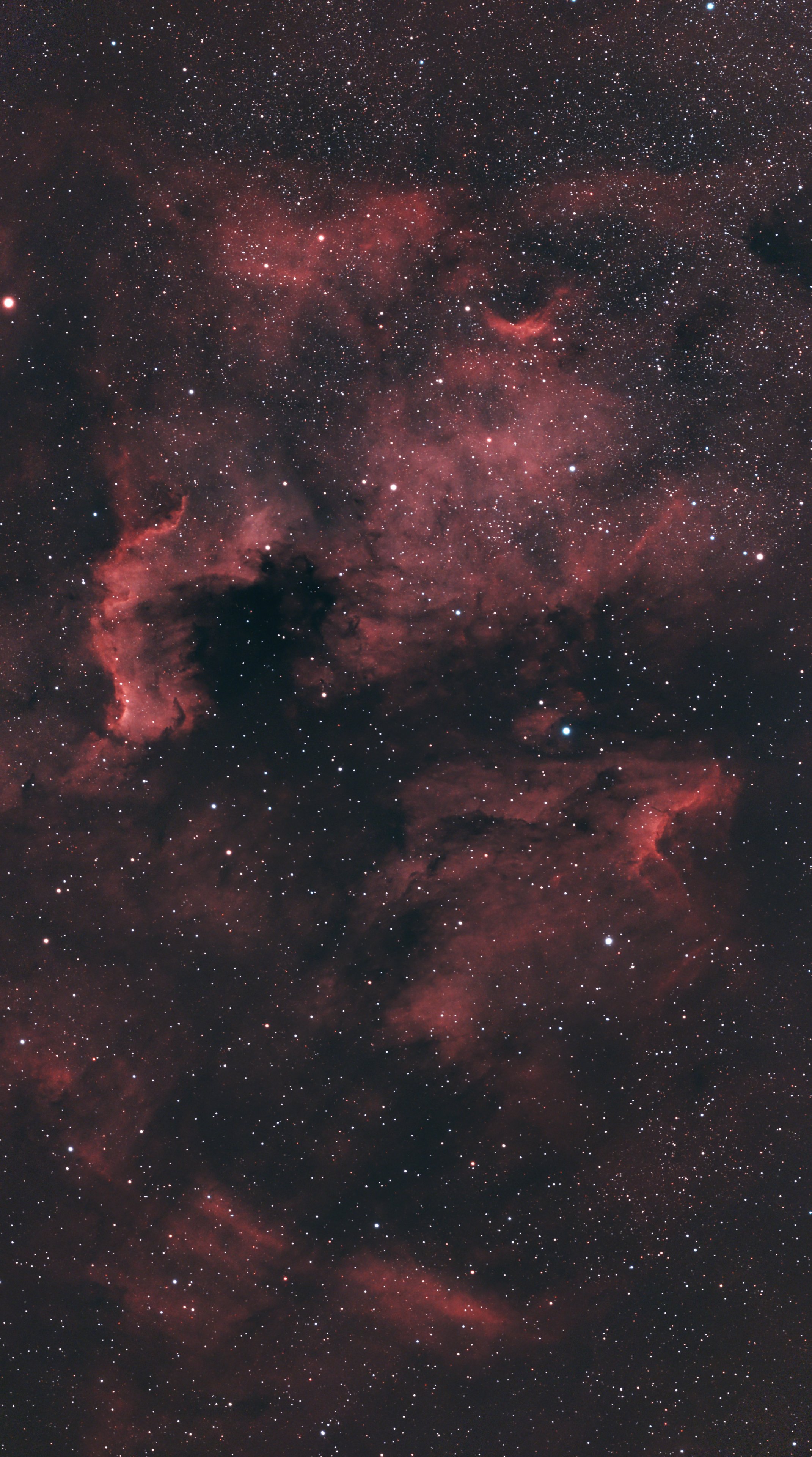 NGC 7000 | Mosaik
