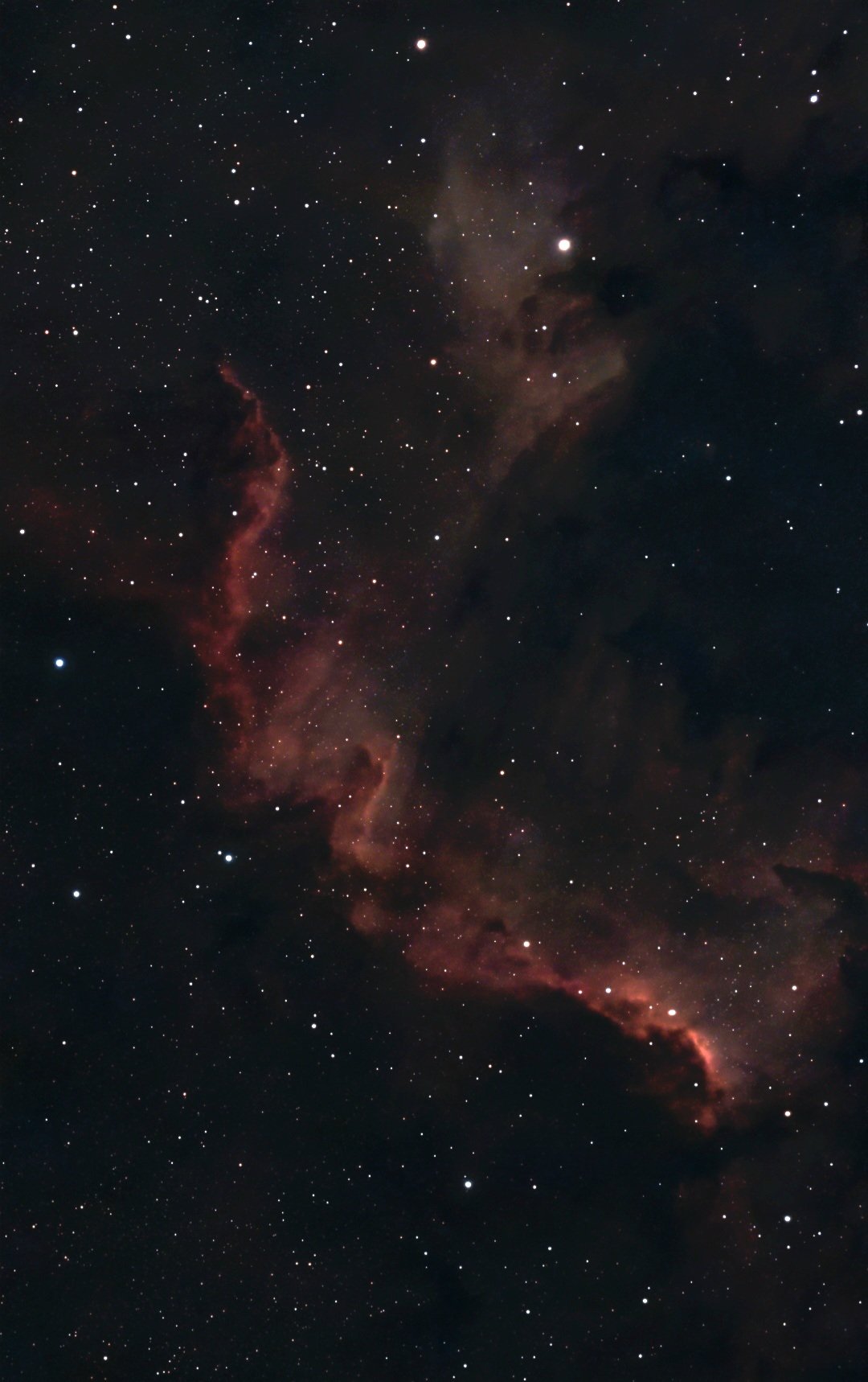 NGC 7000 Nordamerikanebel