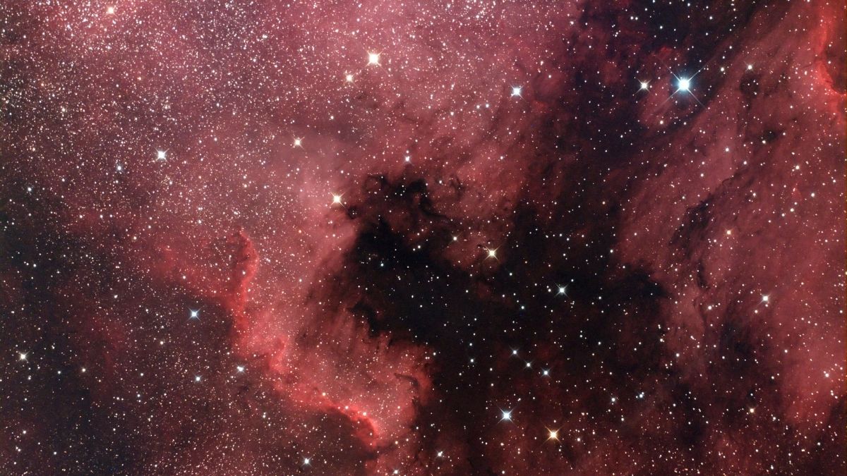 NGC 7000