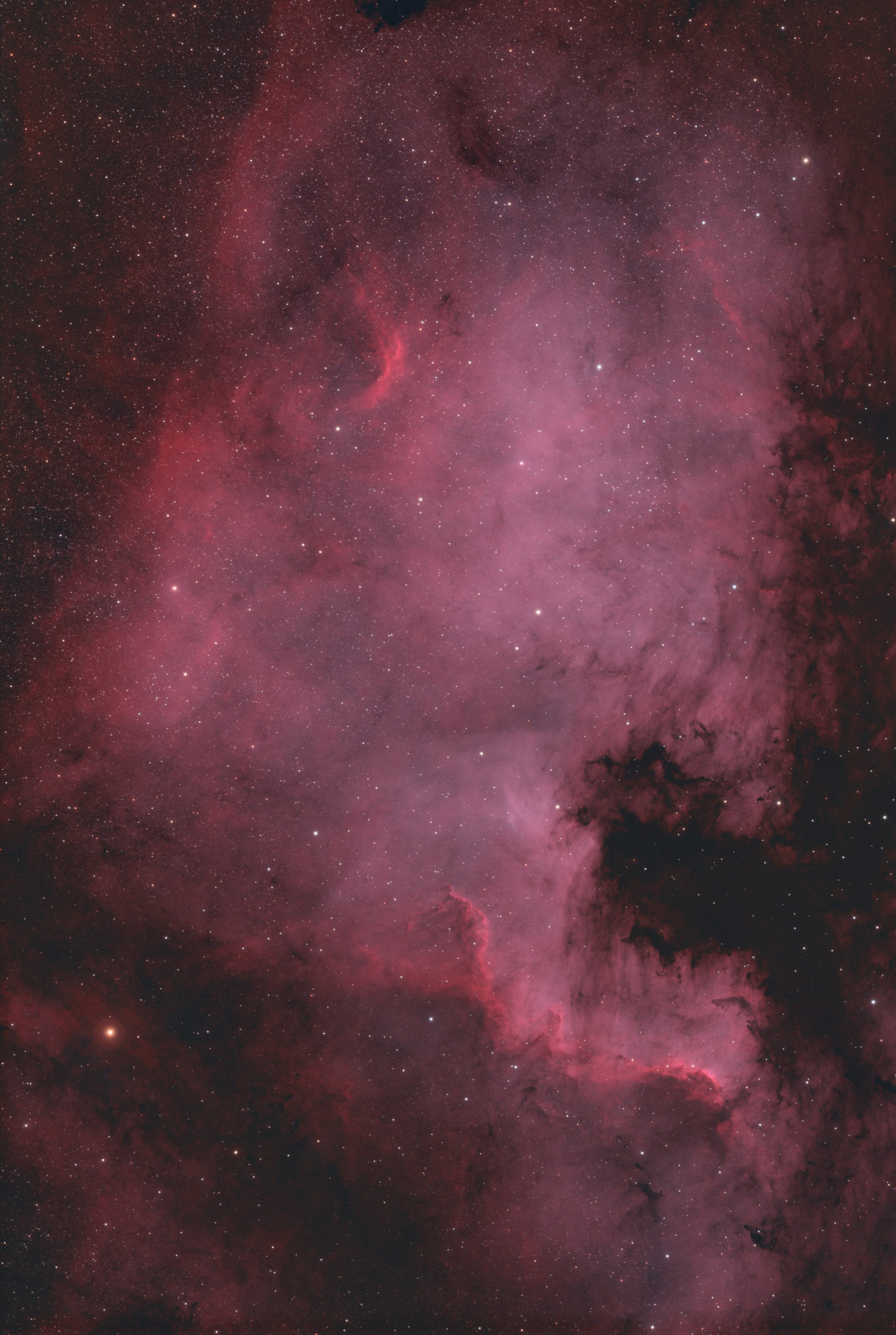 NGC 7000