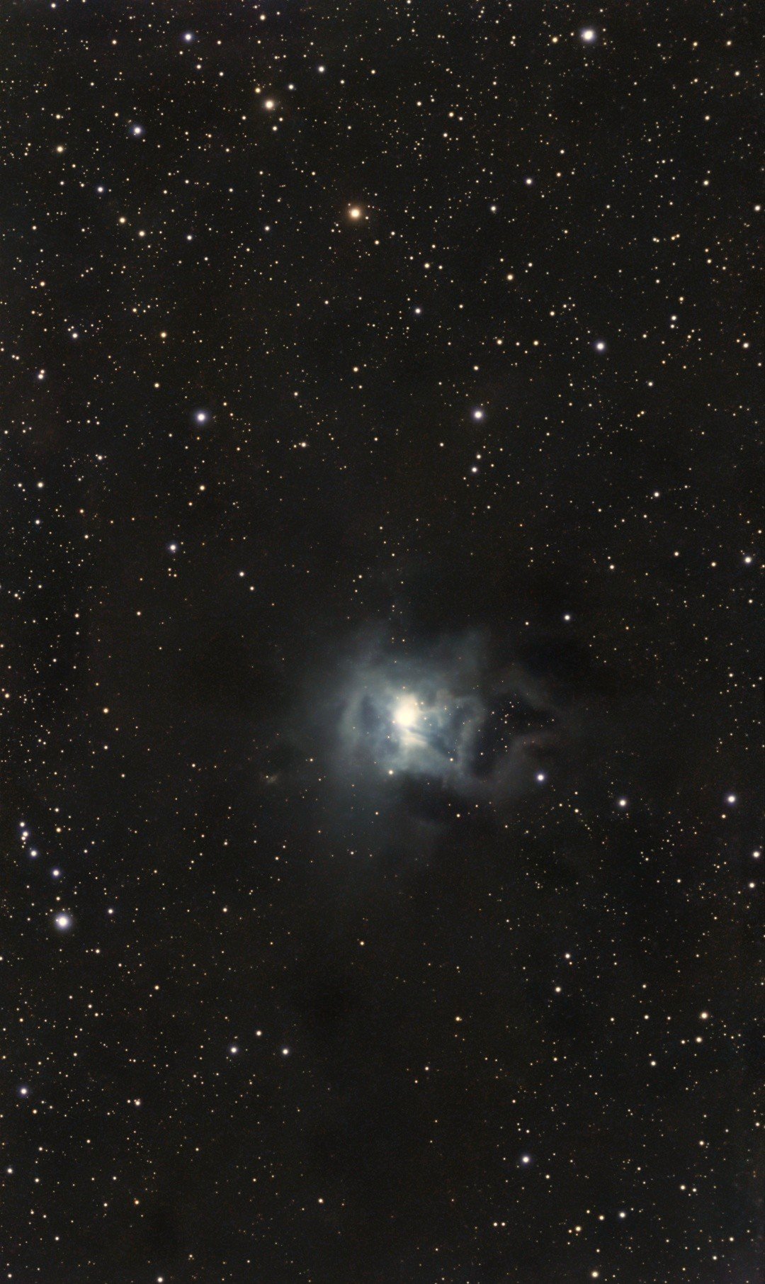 NGC 7023 / C4 Irisnebel