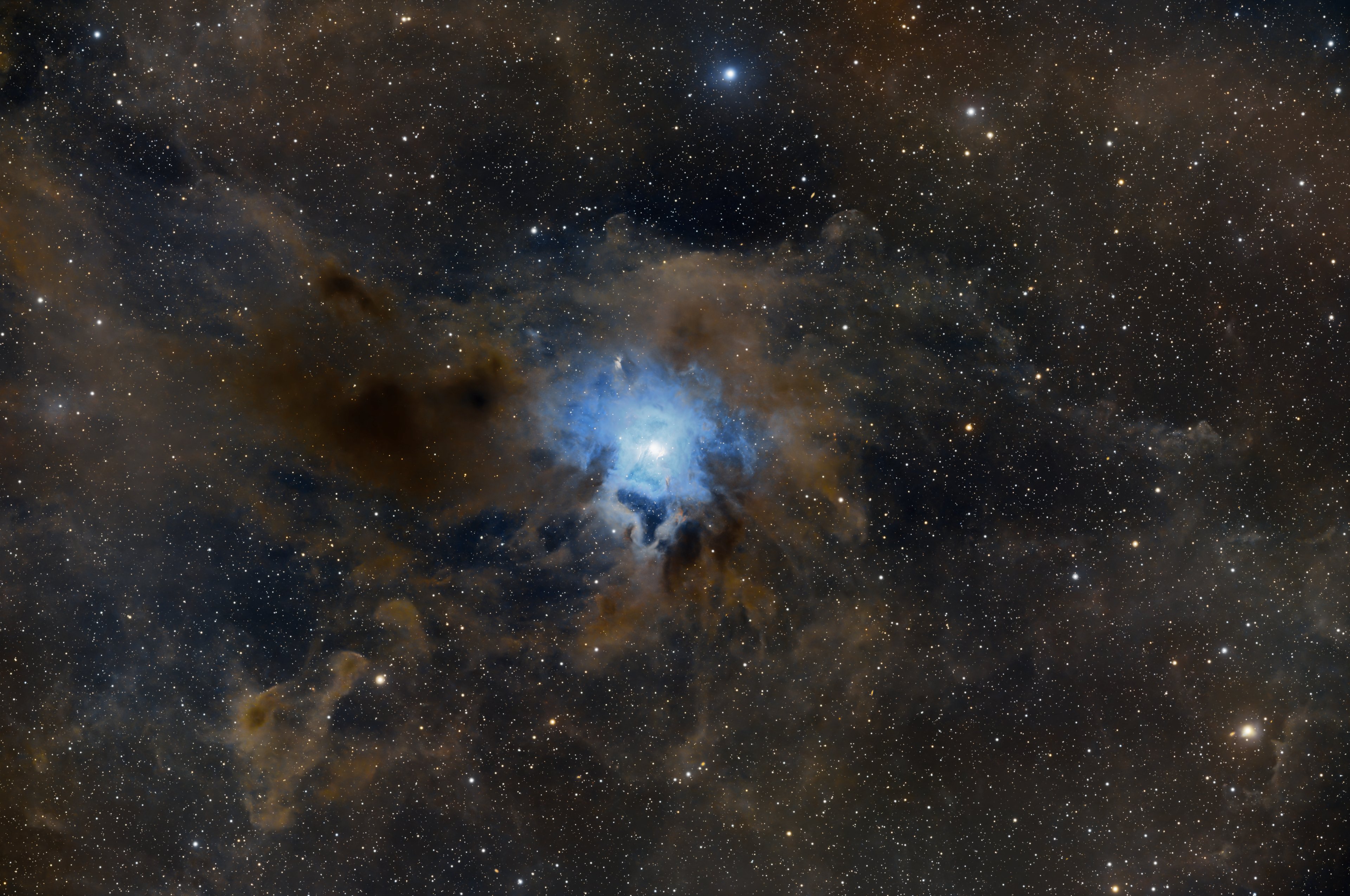 NGC 7023 der Iris Nebel