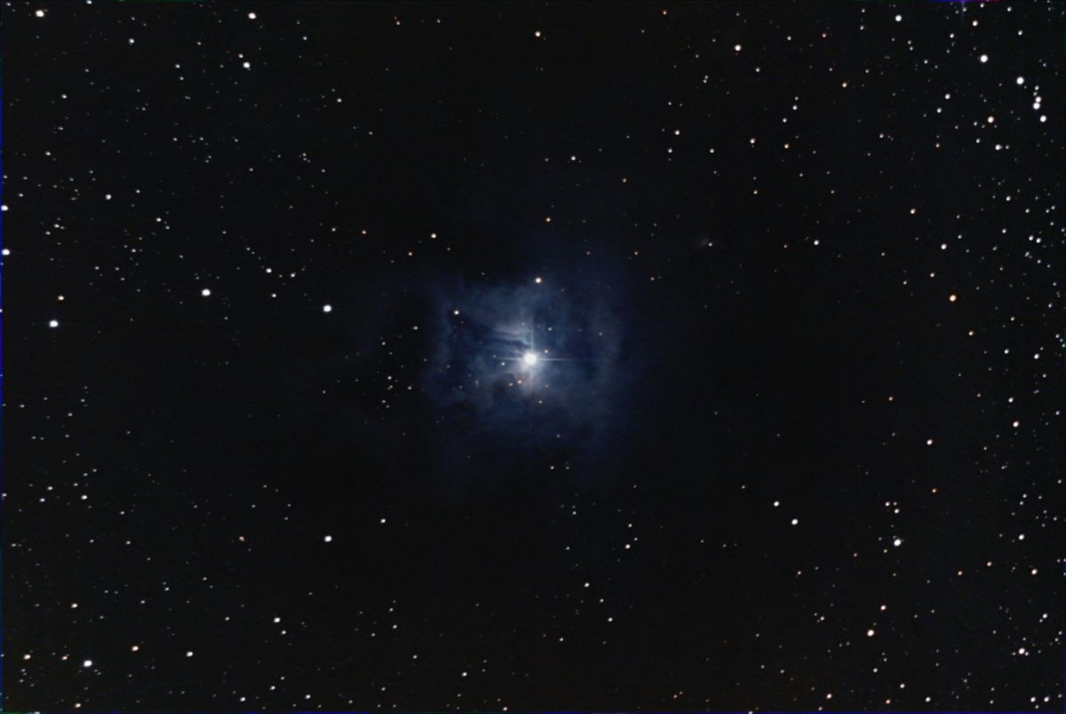 NGC 7023 - Iris Nebel