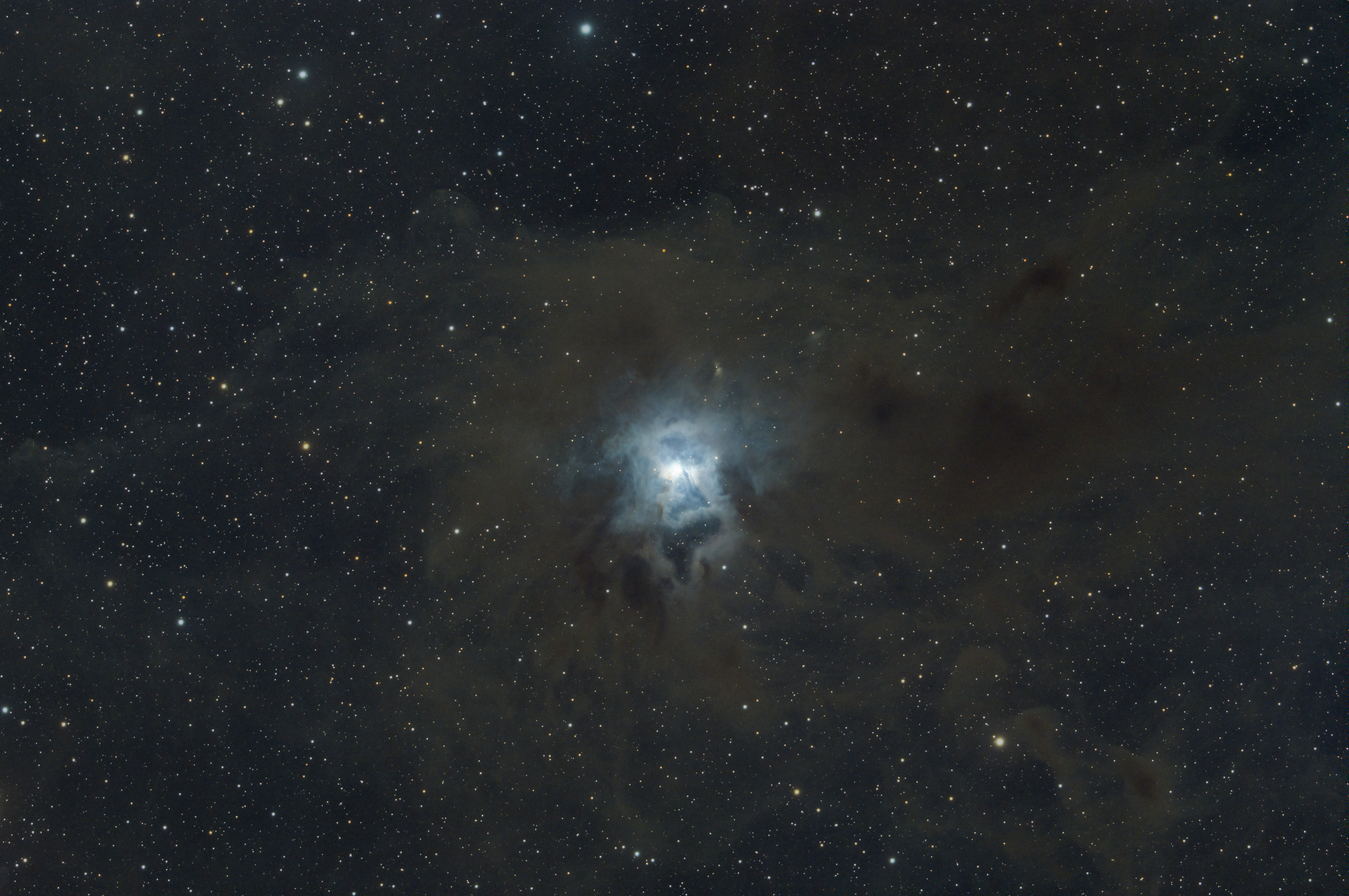 NGC 7023 Irisnebel Sternbild Kepheus