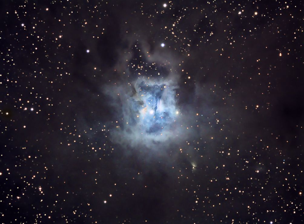 NGC 7023 Irisnebel