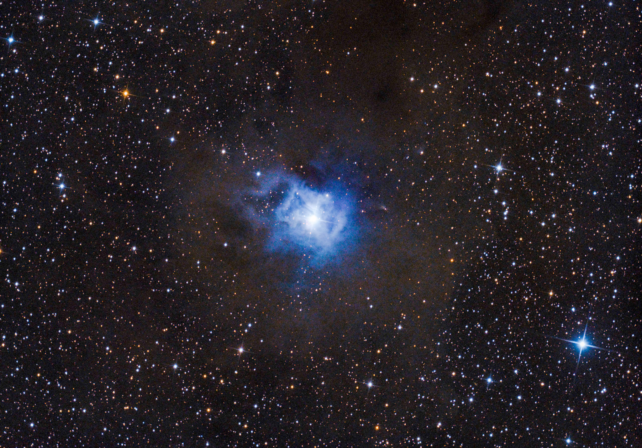NGC 7023 - Irisnebel