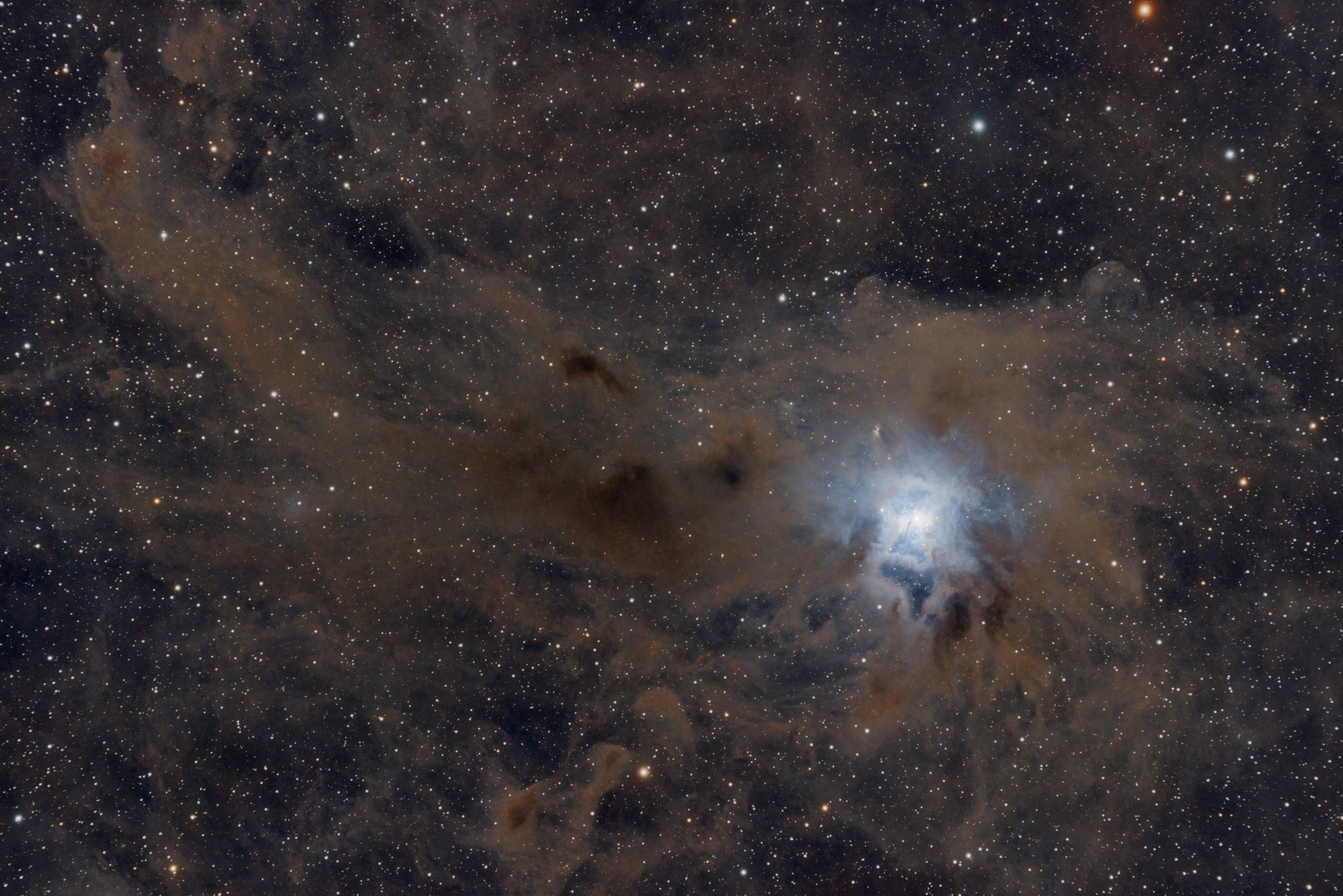 NGC 7023 - Irisnebel