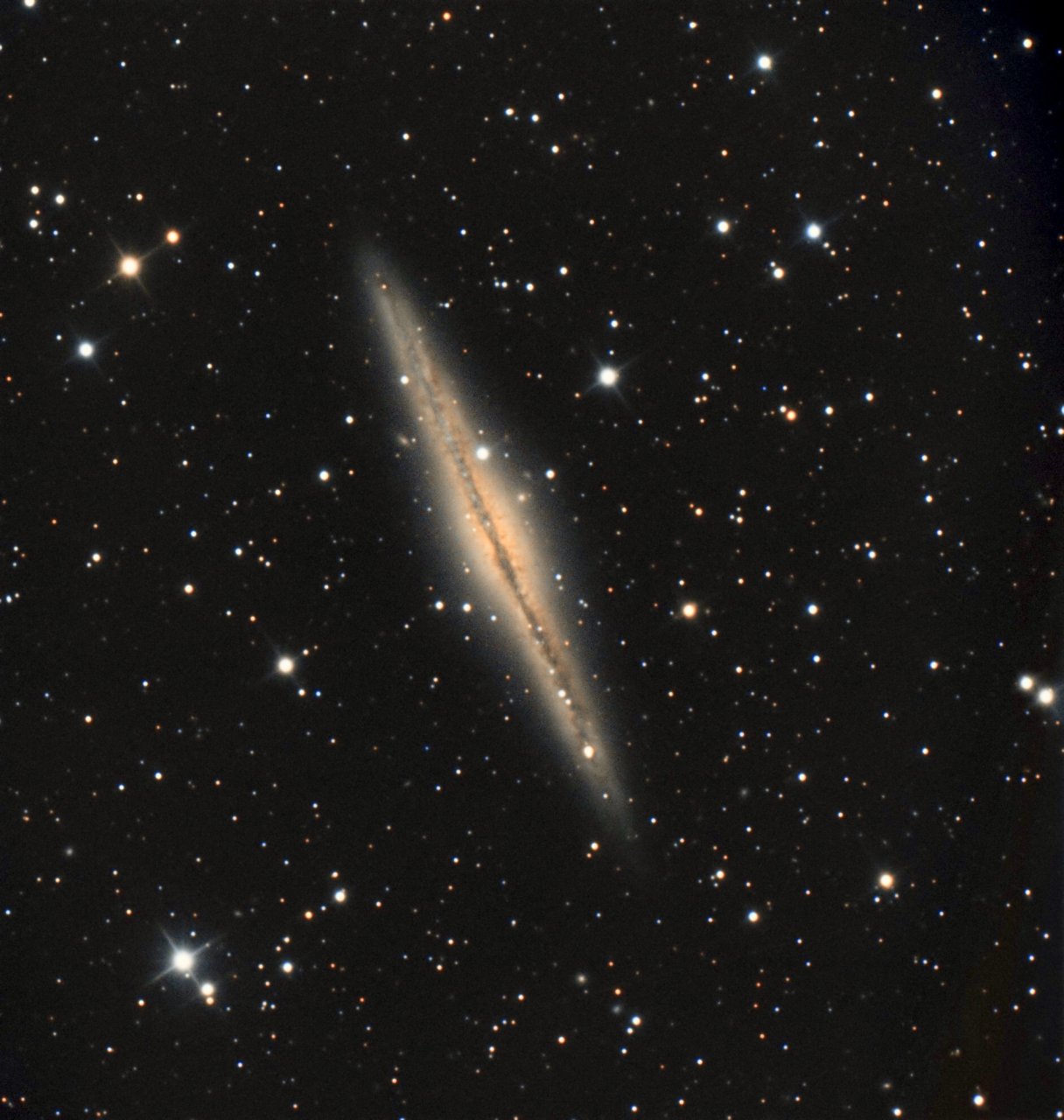 NGC 891