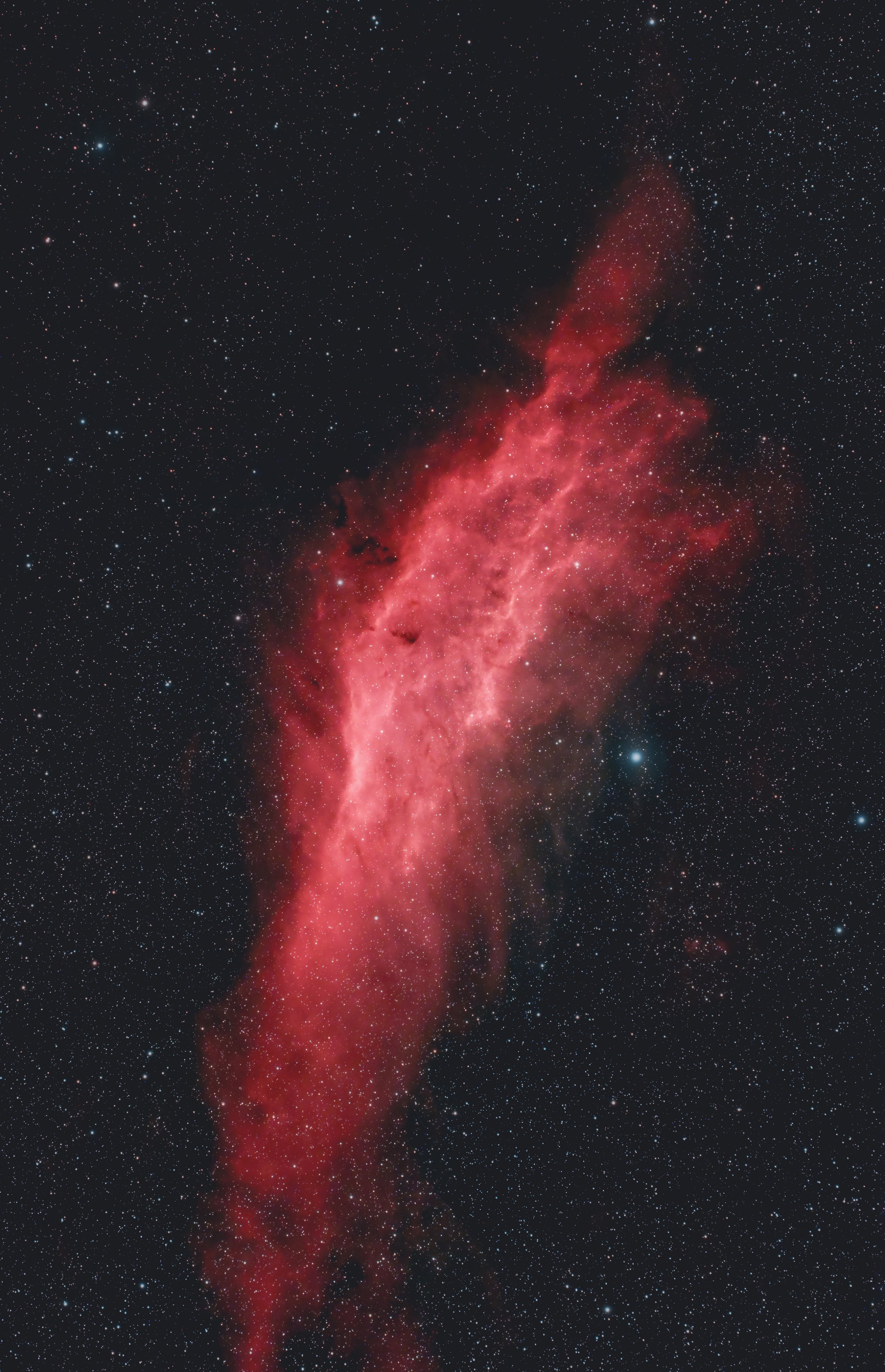 NGC1499 Californiennebel