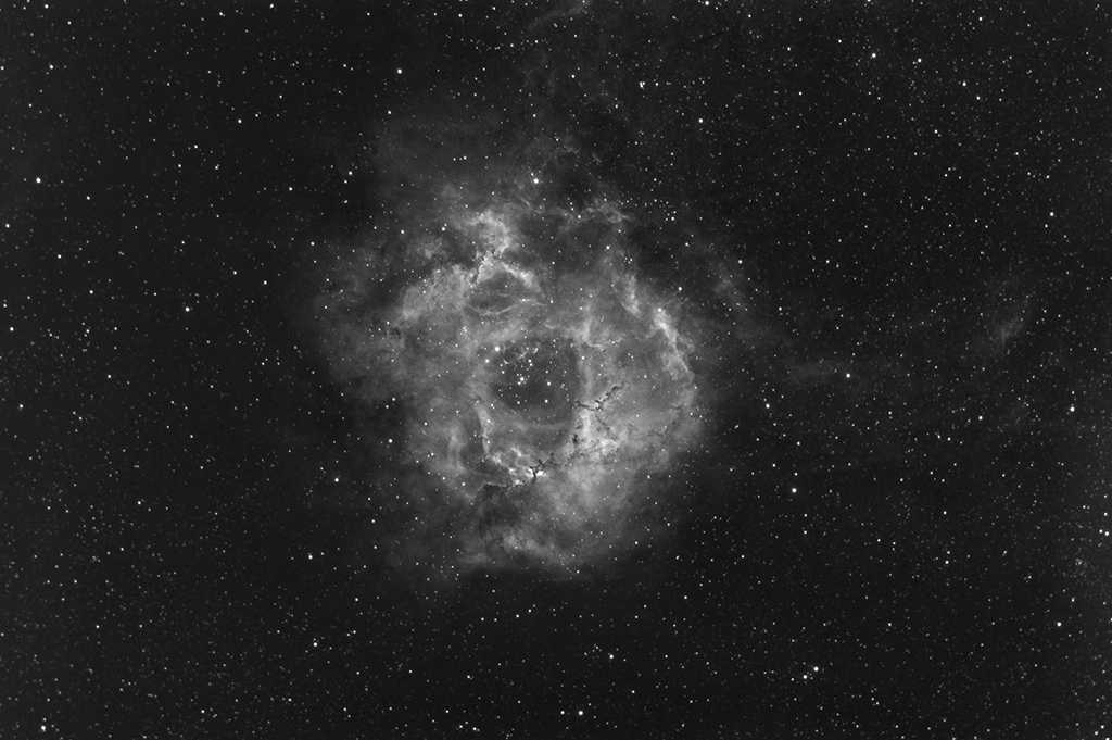 NGC2237 Wide