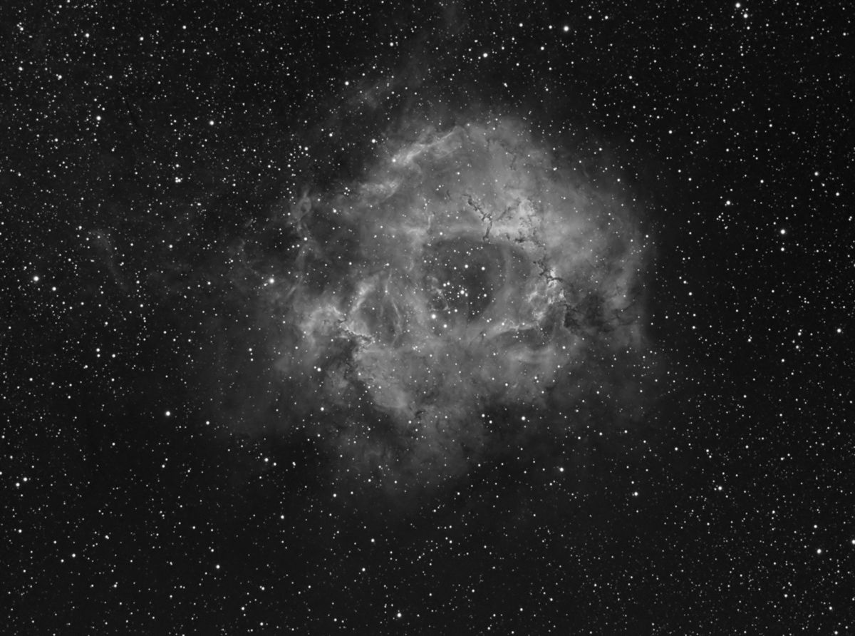 NGC2244-Luminanz.jpg