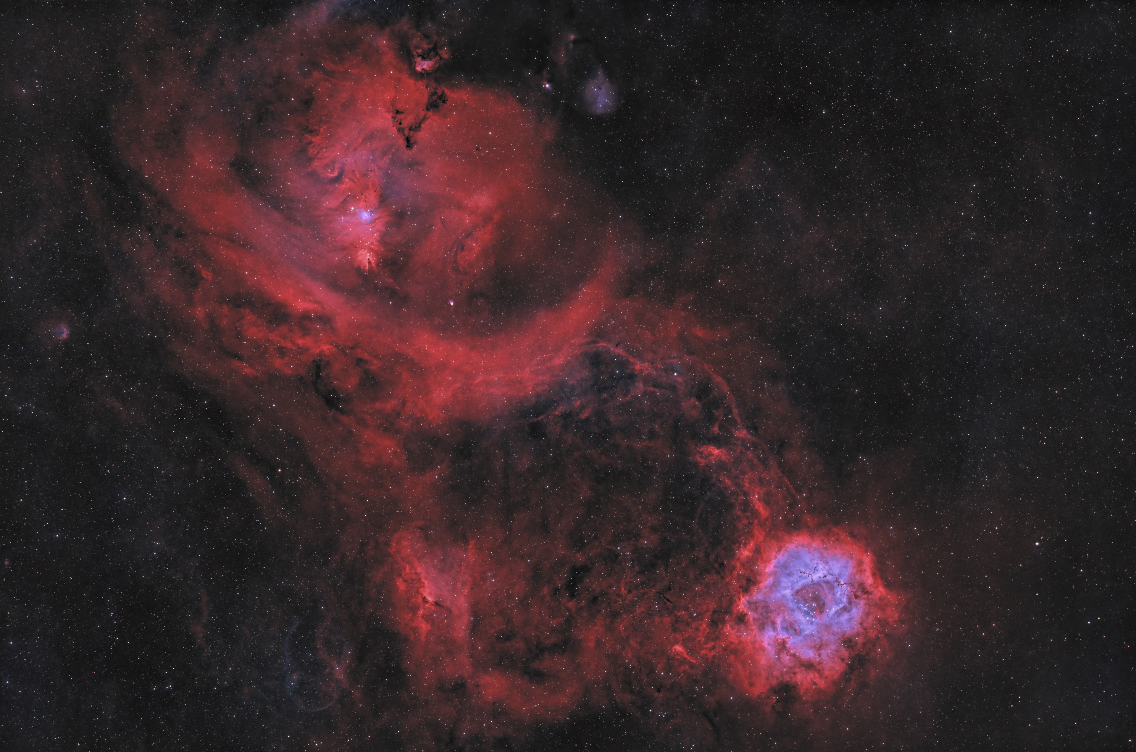 NGC2244 Rosettennebel bis NGC2264 (RGBHO mit Ha entfärbt)