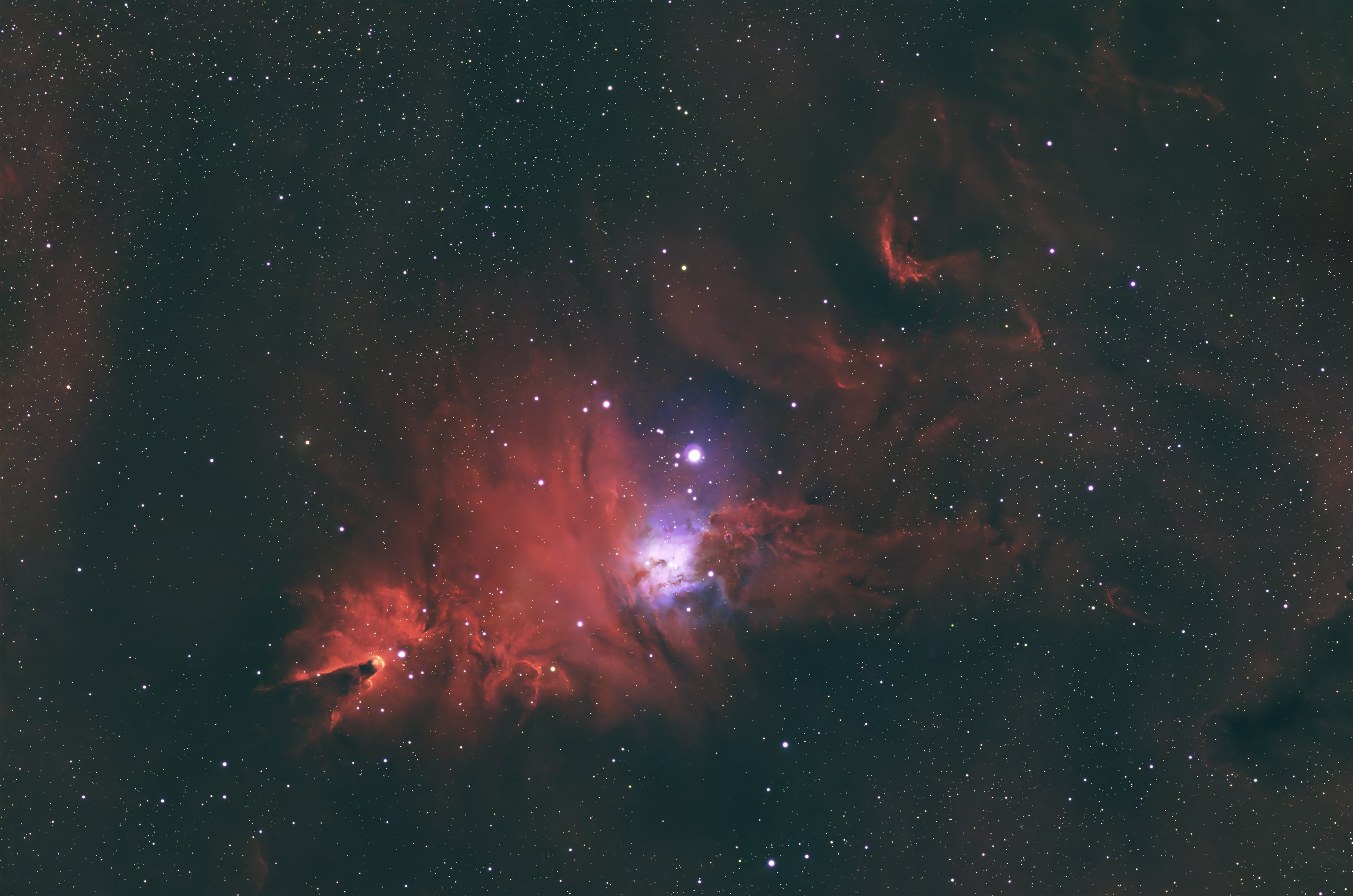 NGC2264.jpg