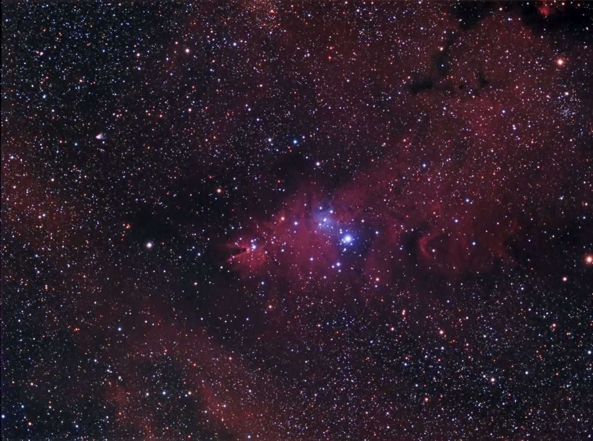 NGC2264 und Umgebung