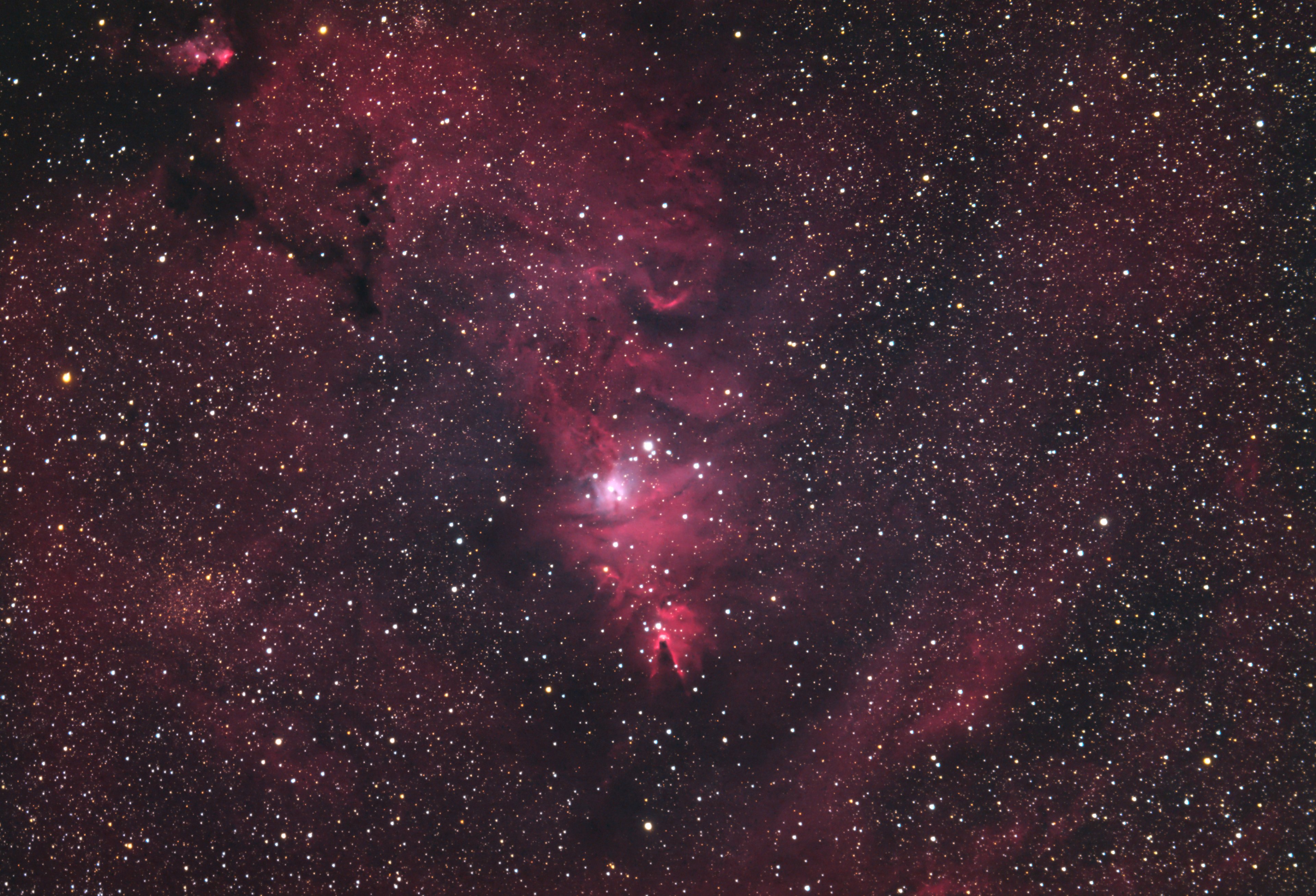 NGC2264