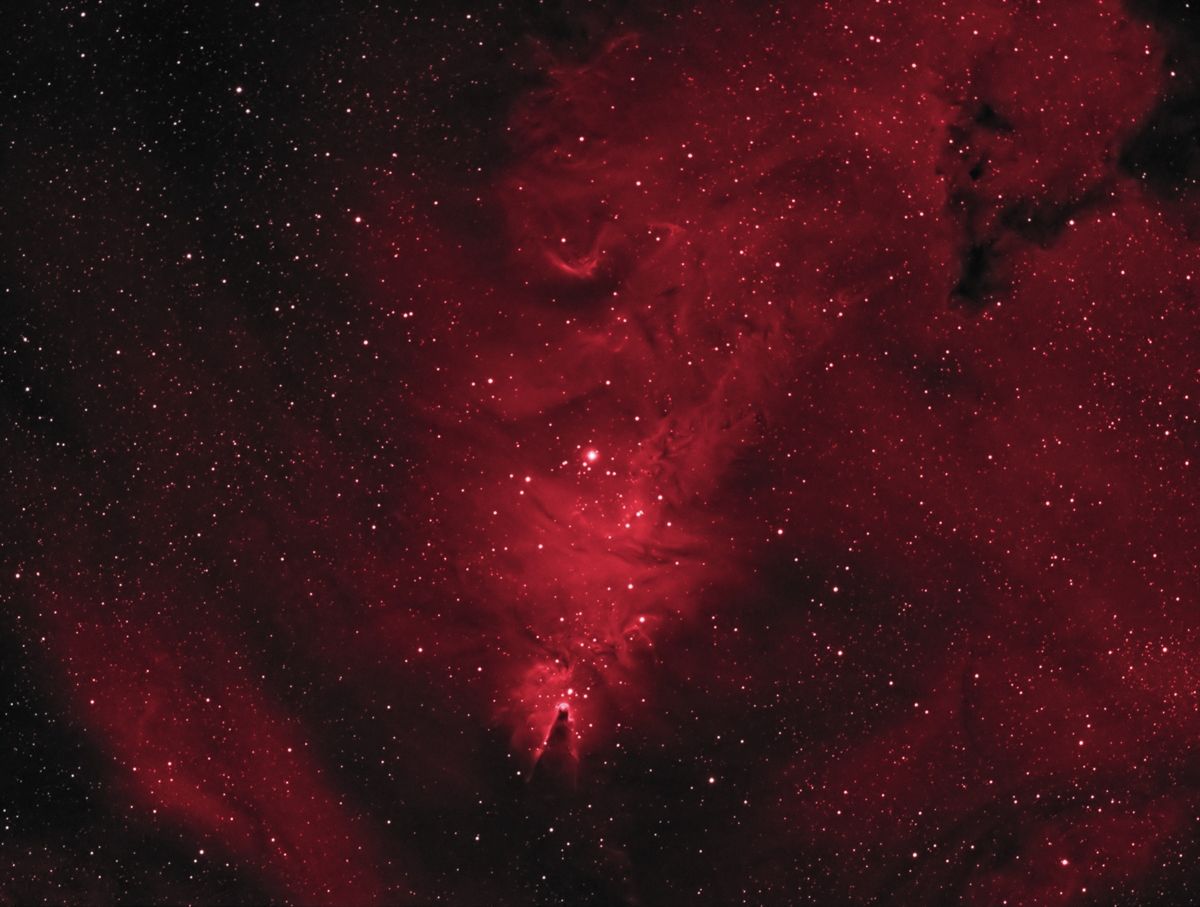 NGC2264_Ha_R.jpg