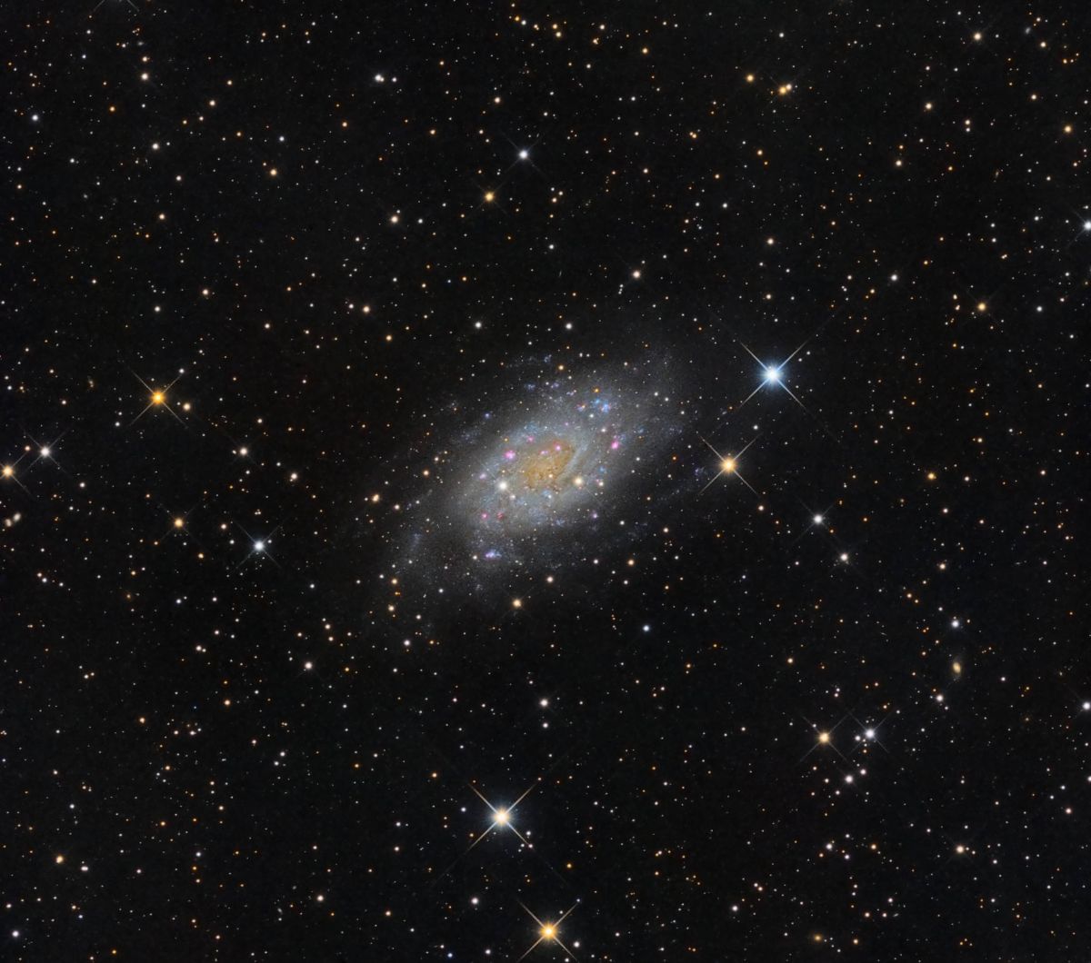 NGC2403