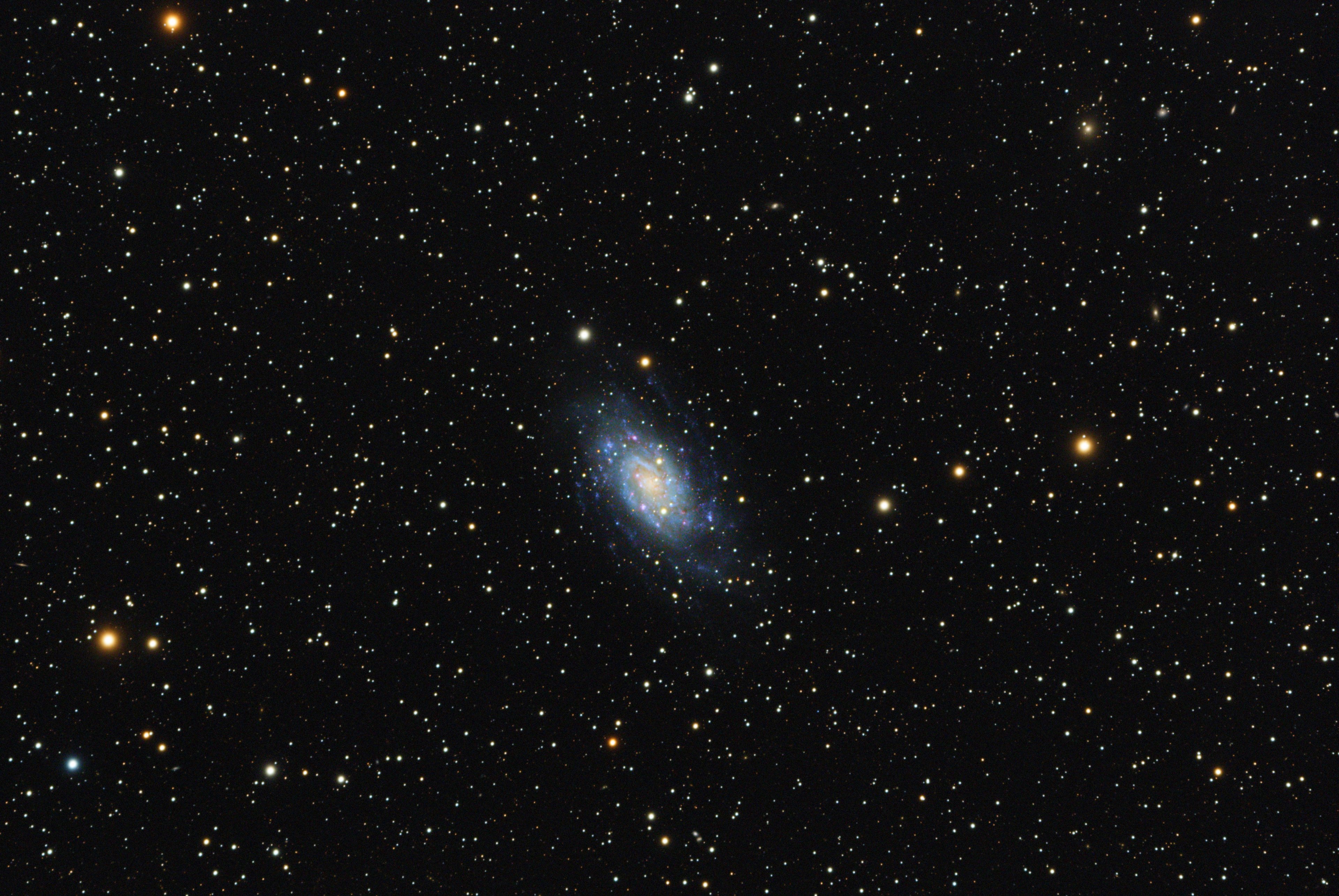 NGC2403