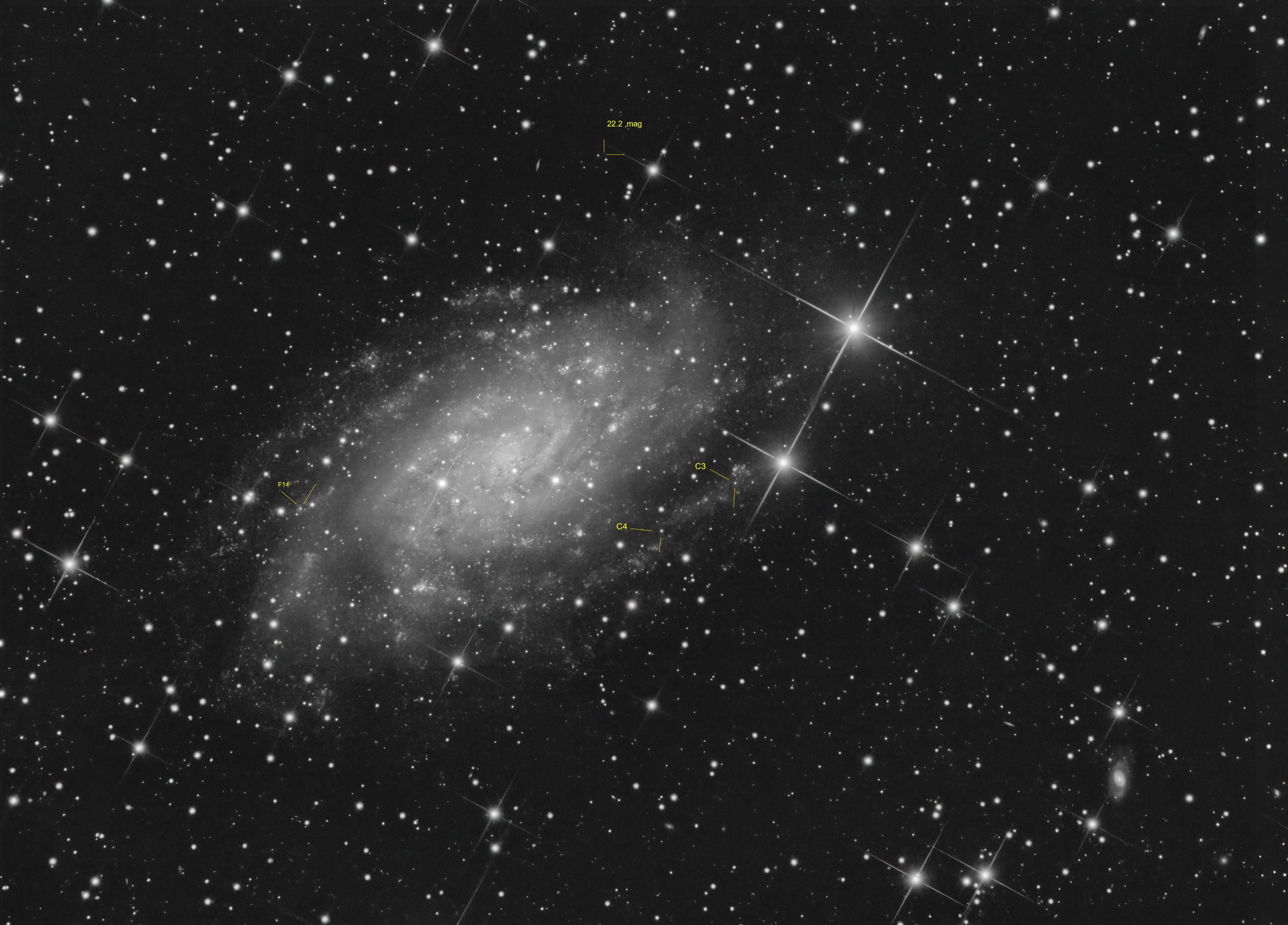 NGC2403_273x60s_KS.jpg