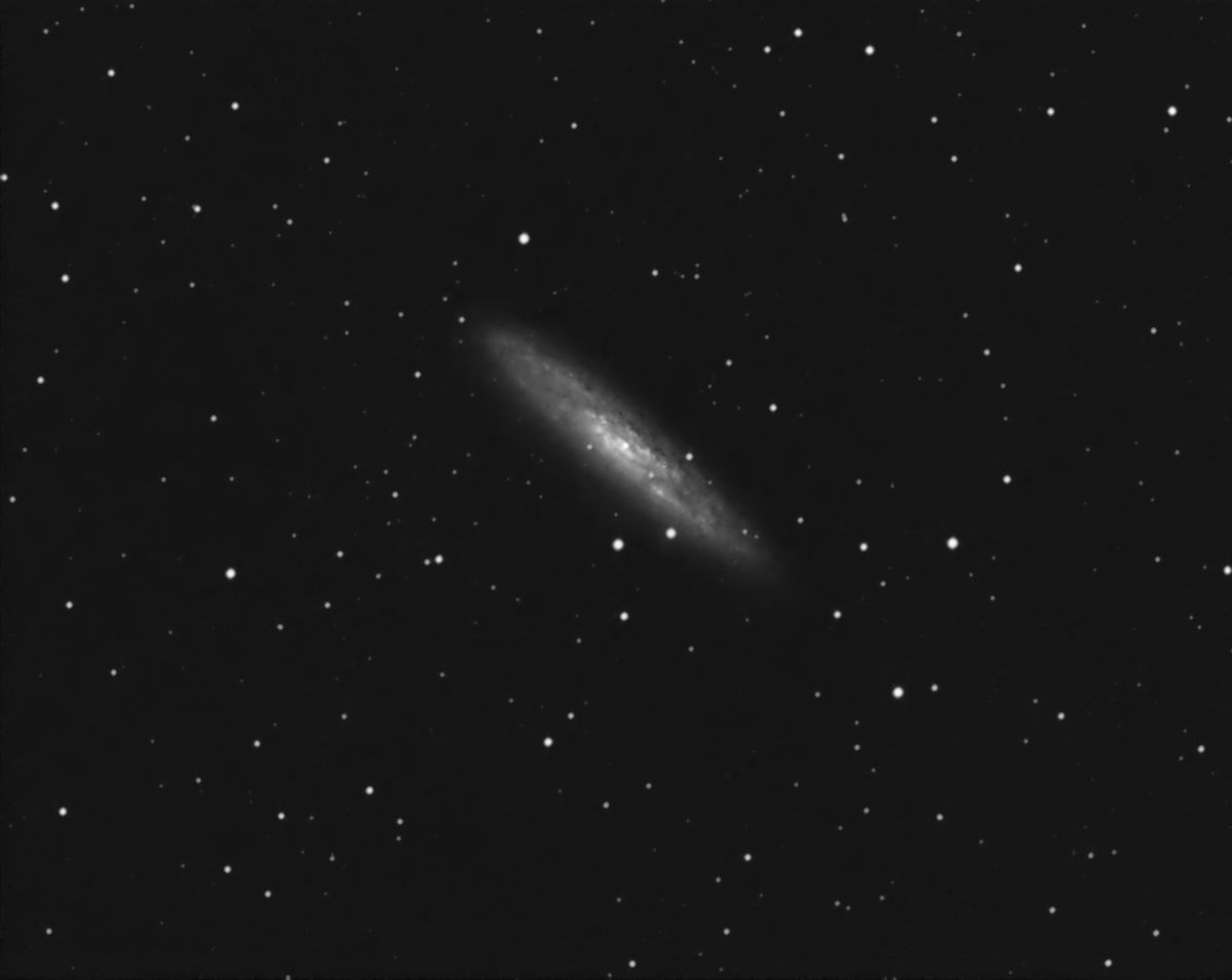 NGC253.jpg