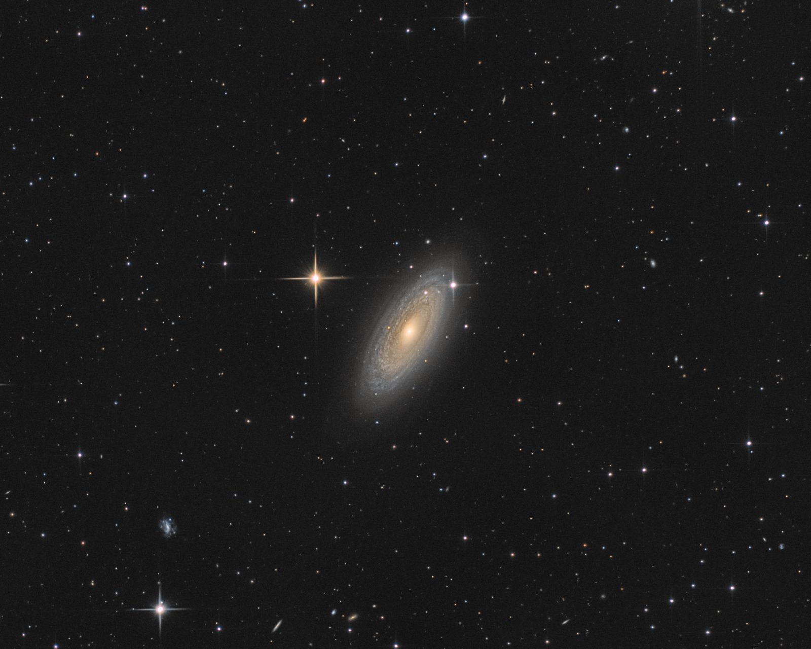 ngc2841