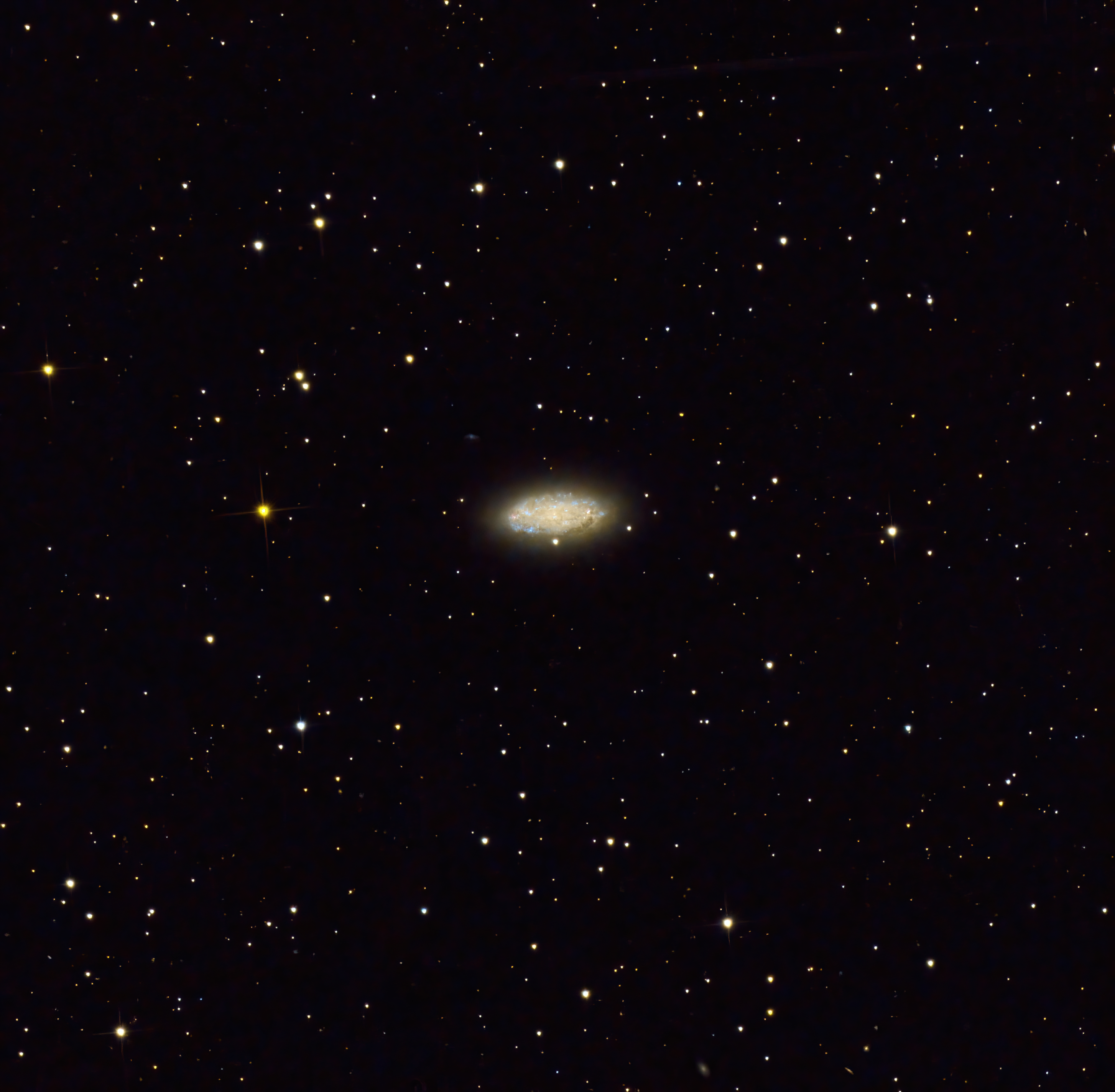 NGC2976 (M81 Gruppe)
