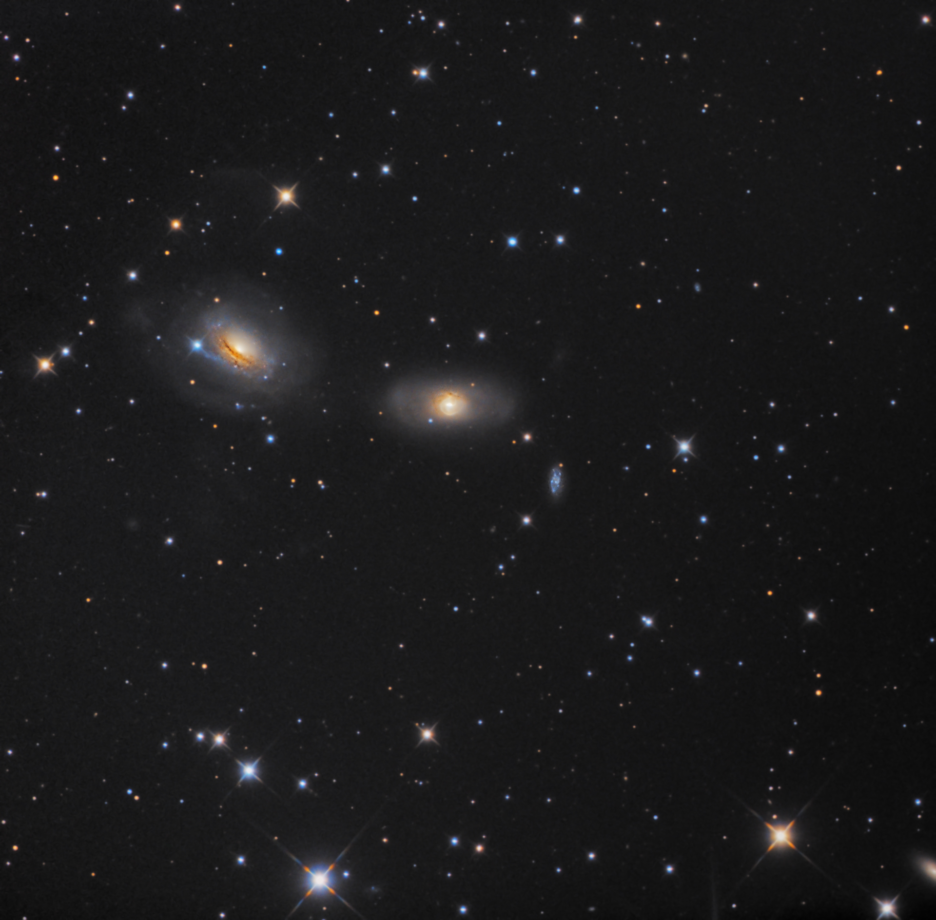 NGC3165-L41X600--RGB-11-9-9X600  jpeg.jpg