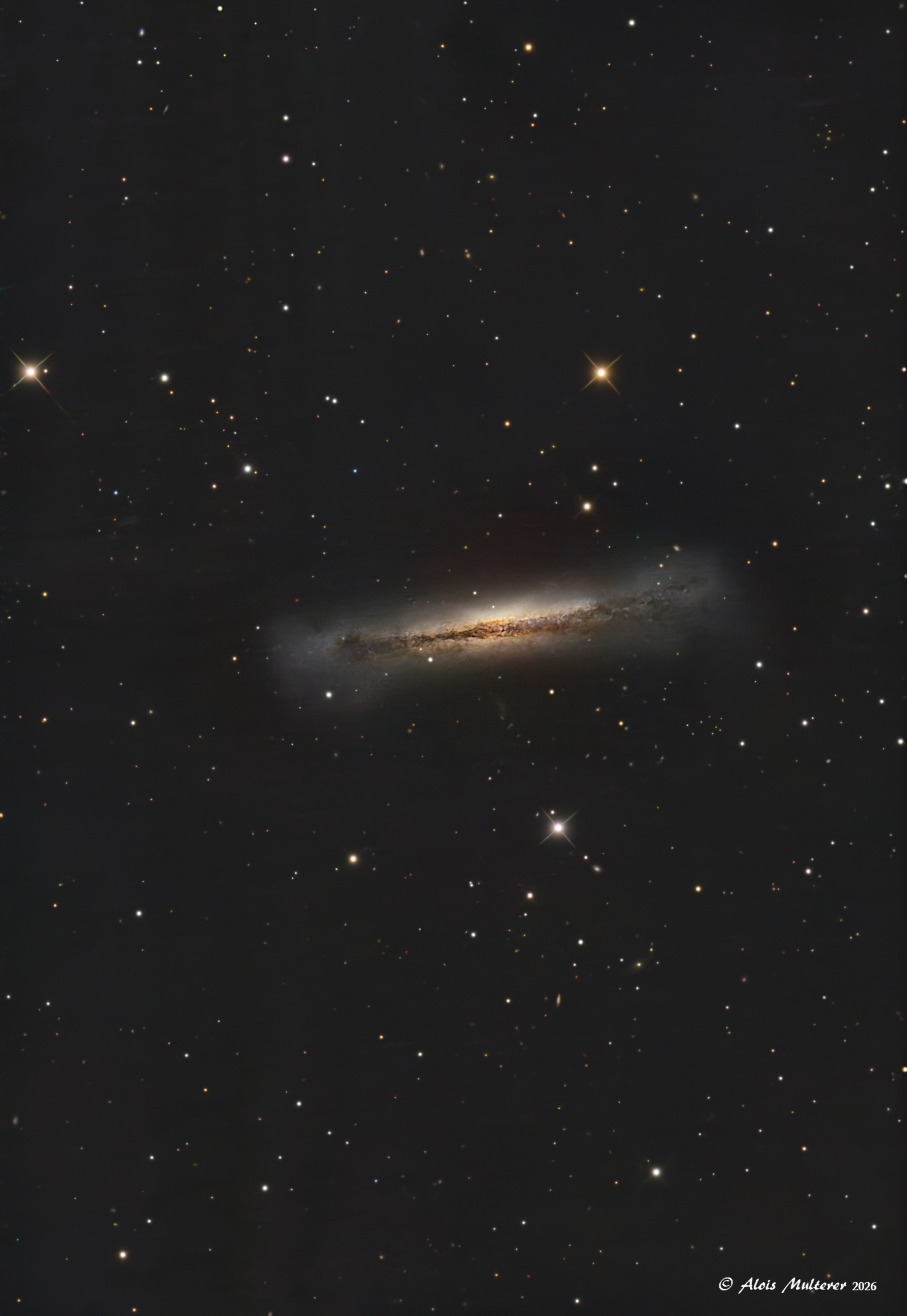 NGC3628_Hamburger_Galaxy_RC8_SvBony405cc_EQ6.jpg