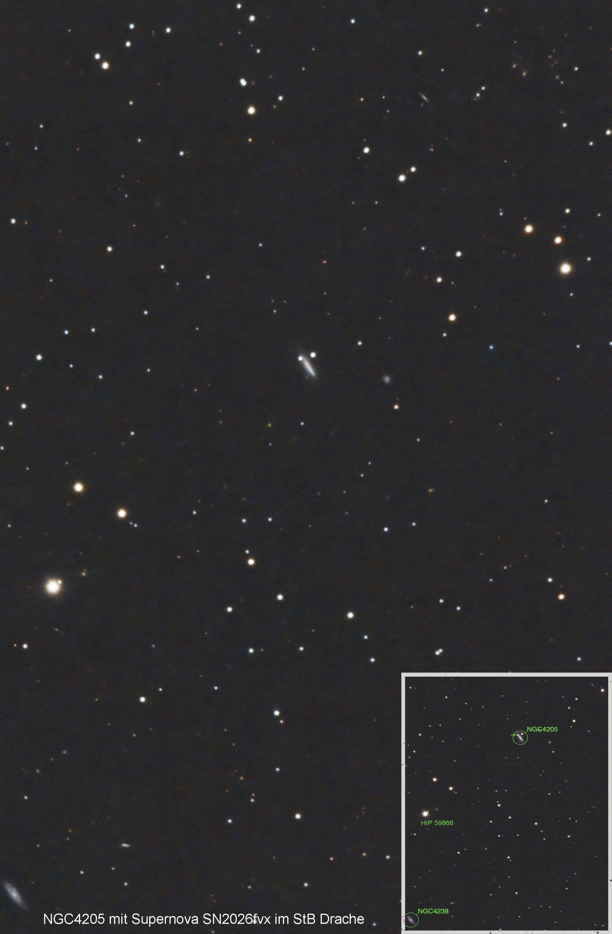 NGC4205 mit SN2026fvx 2026-04-22 800mm ASI585Air L-Pro SirilPs.jpg