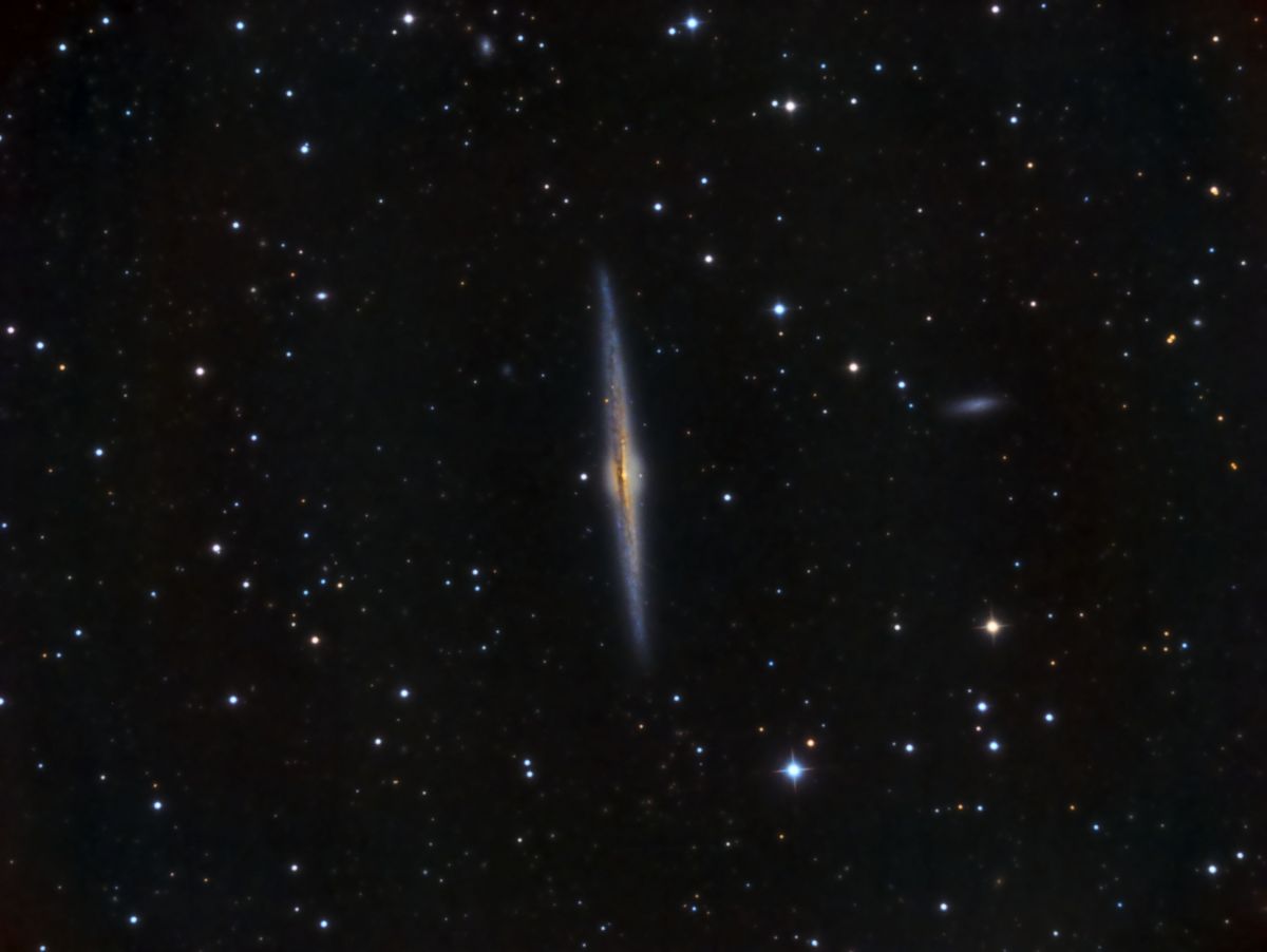 NGC4565