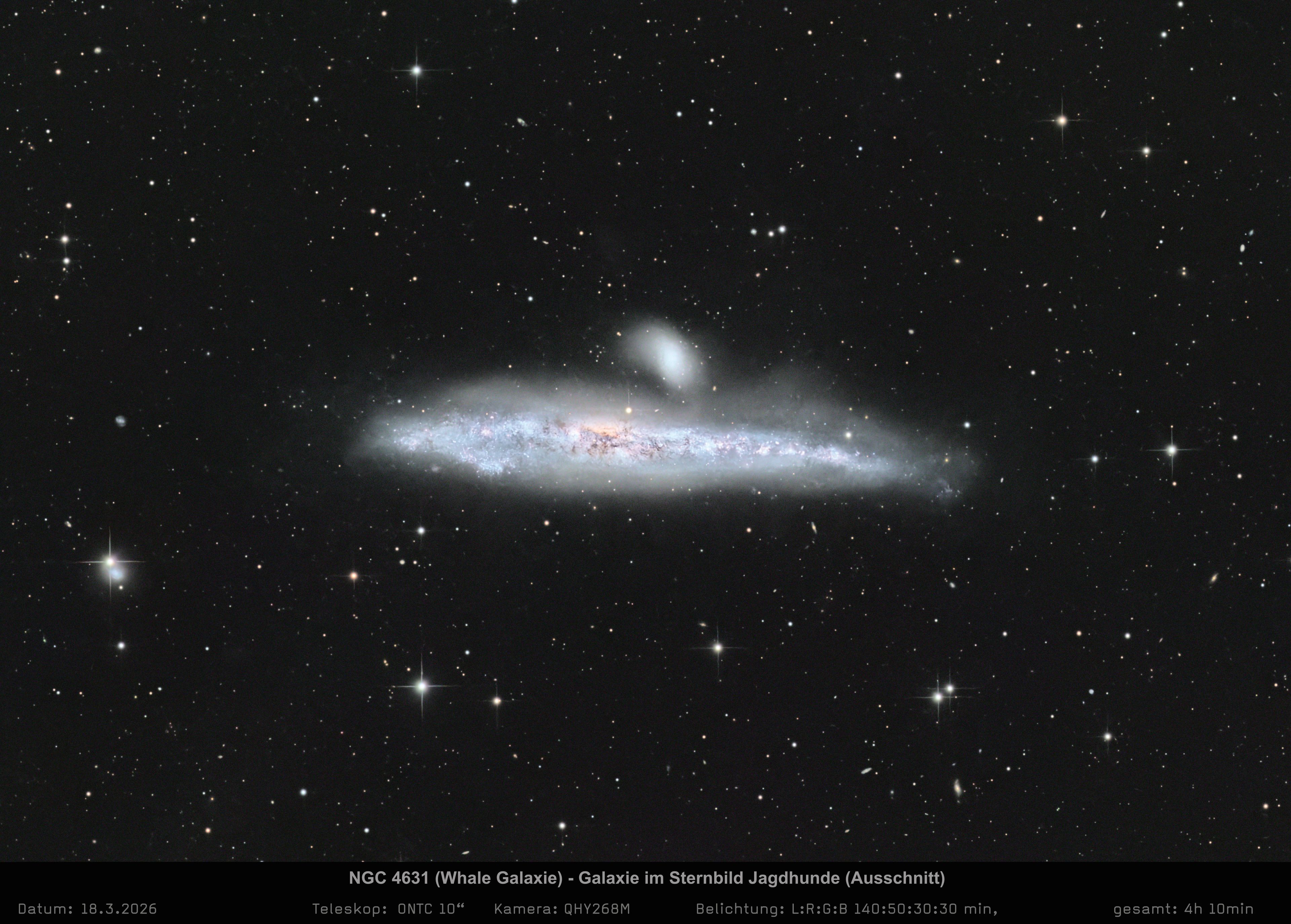 NGC4631 - Walfisch-Galaxie