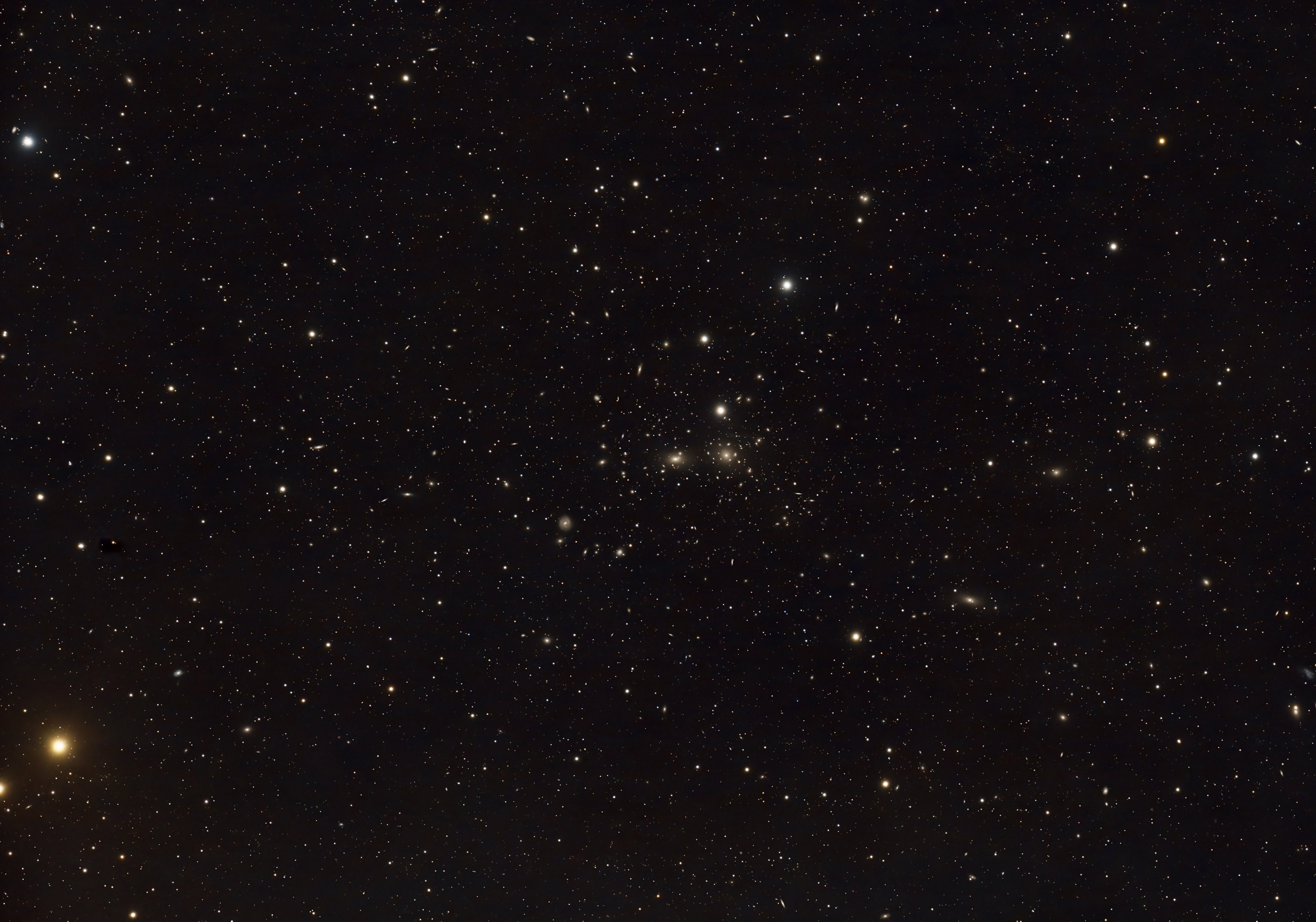 NGC4874 und ca 300 Galaxien ...