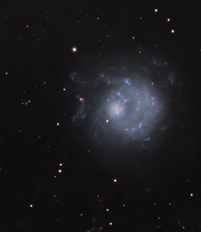 NGC5474