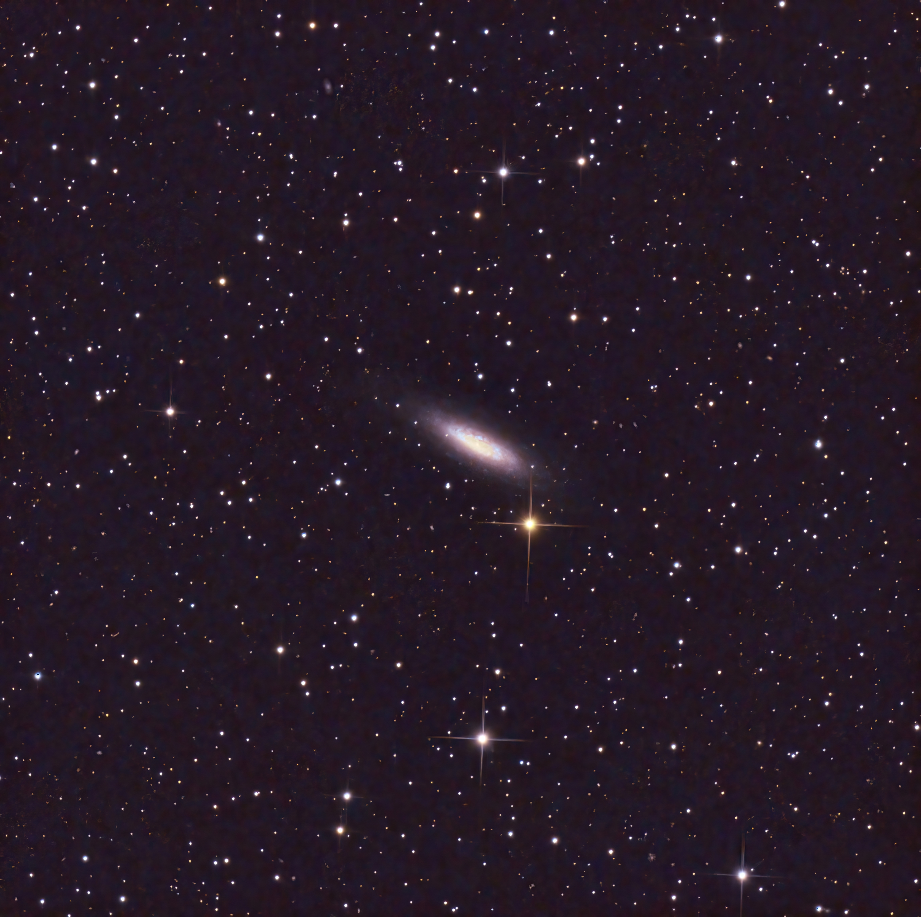 NGC6503 Lost in Space Galaxie (volles Format)