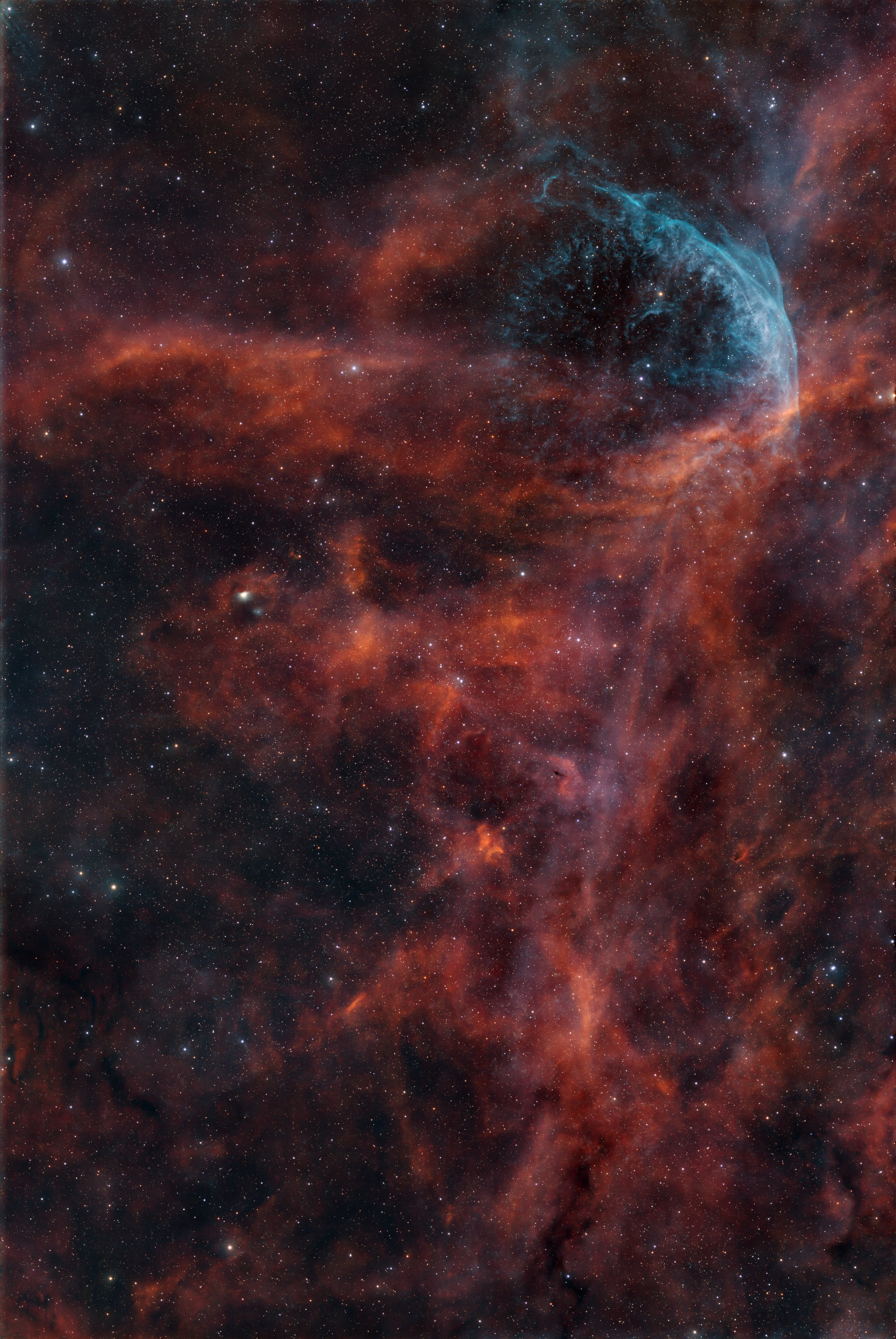 NGC6883