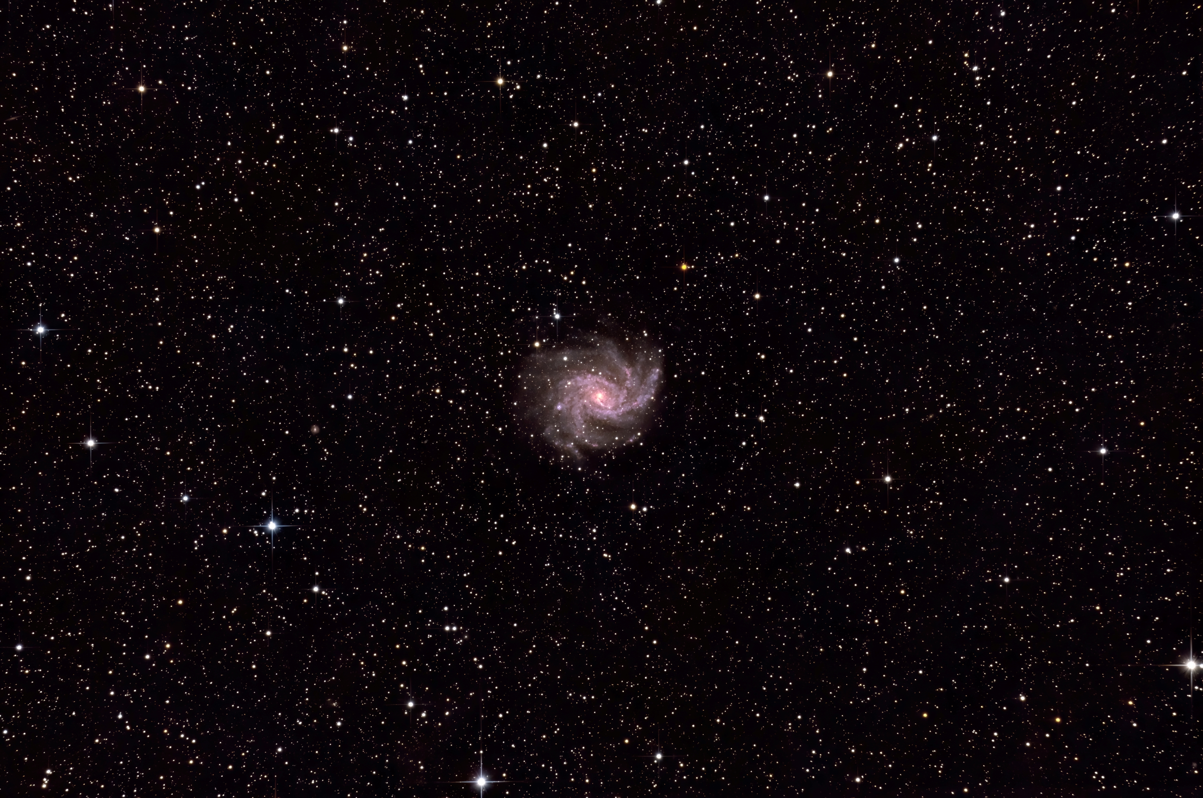 NGC6946 / C12 / Feuerwerksgalaxie)