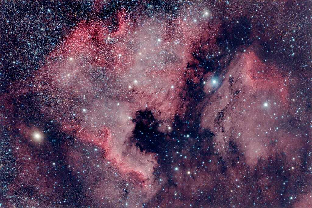 NGC7000 und Begleitung