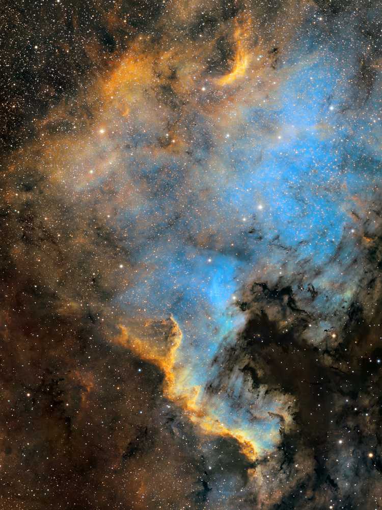 NGC7000