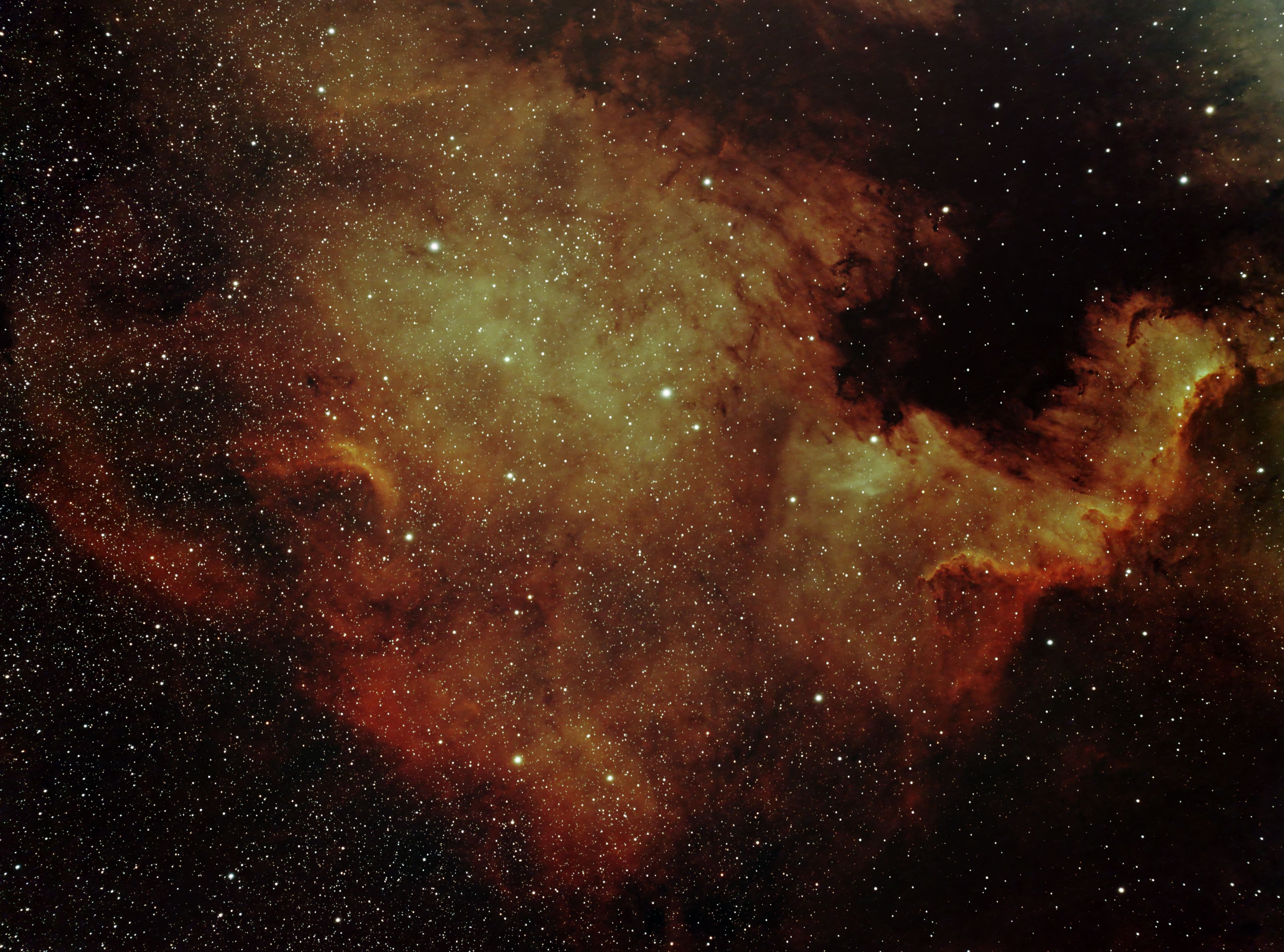 NGC7000_final.jpg