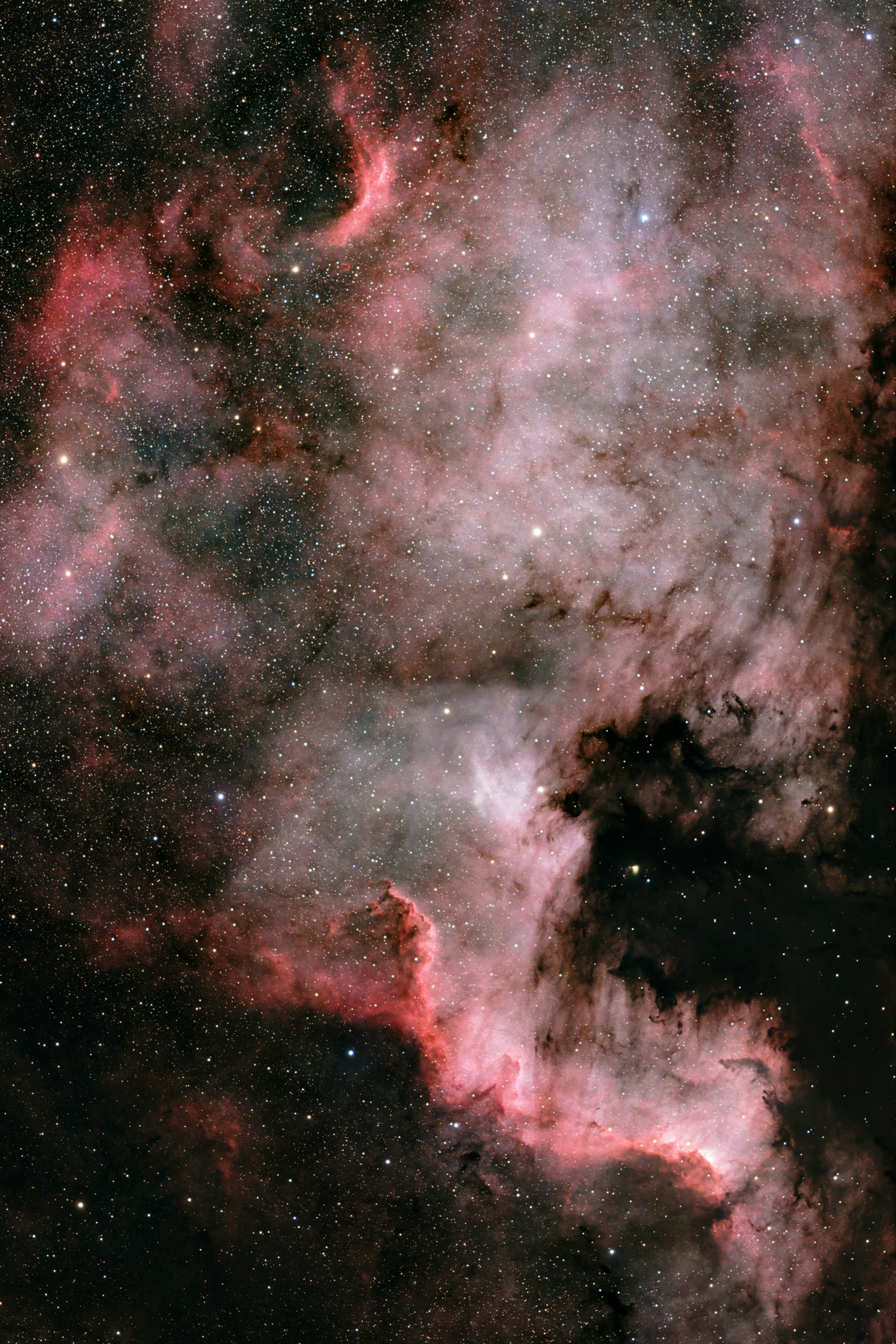 NGC7000_Nordamerika Nebel.jpg