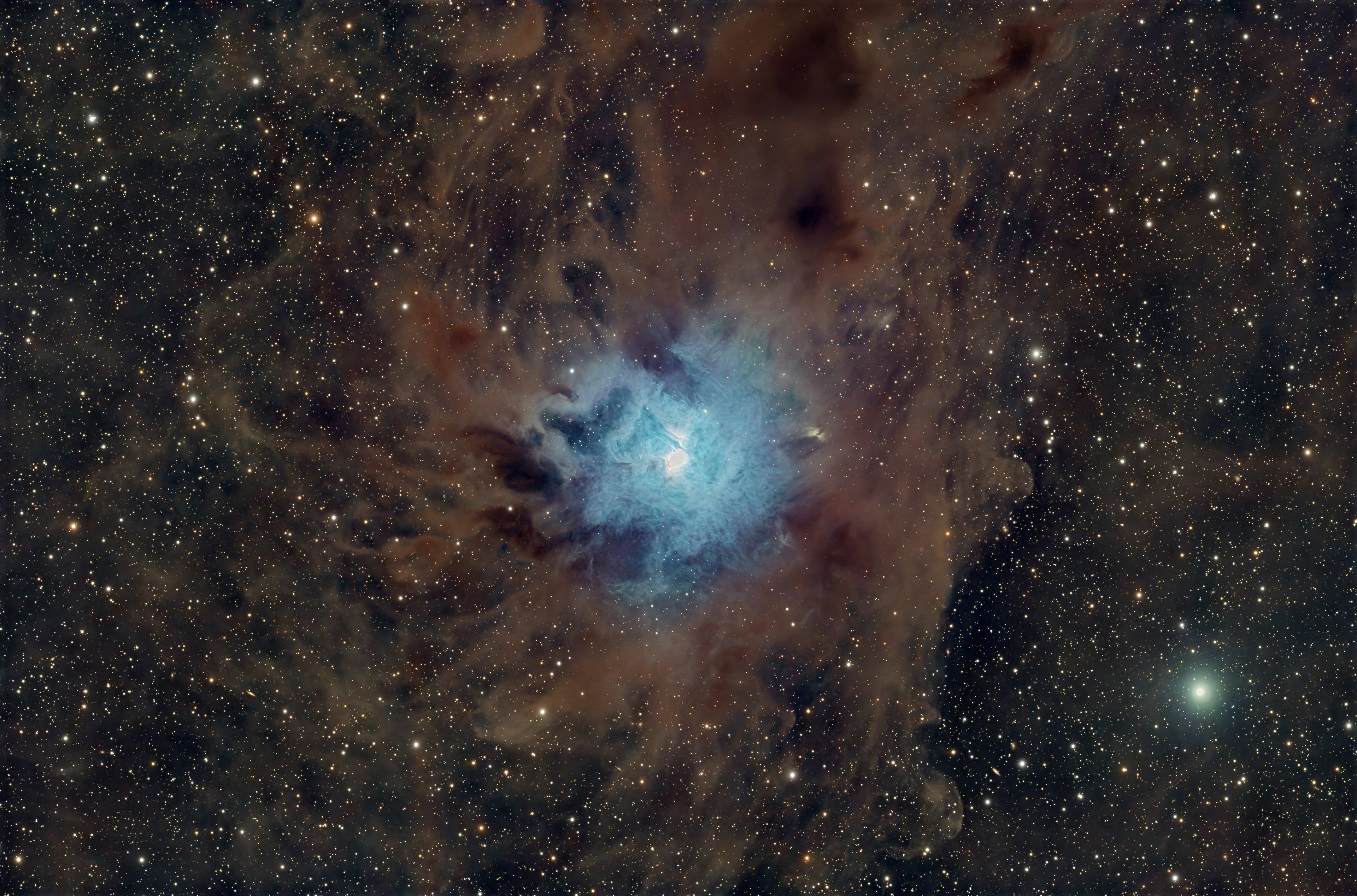 NGC7023 Iris Nebula