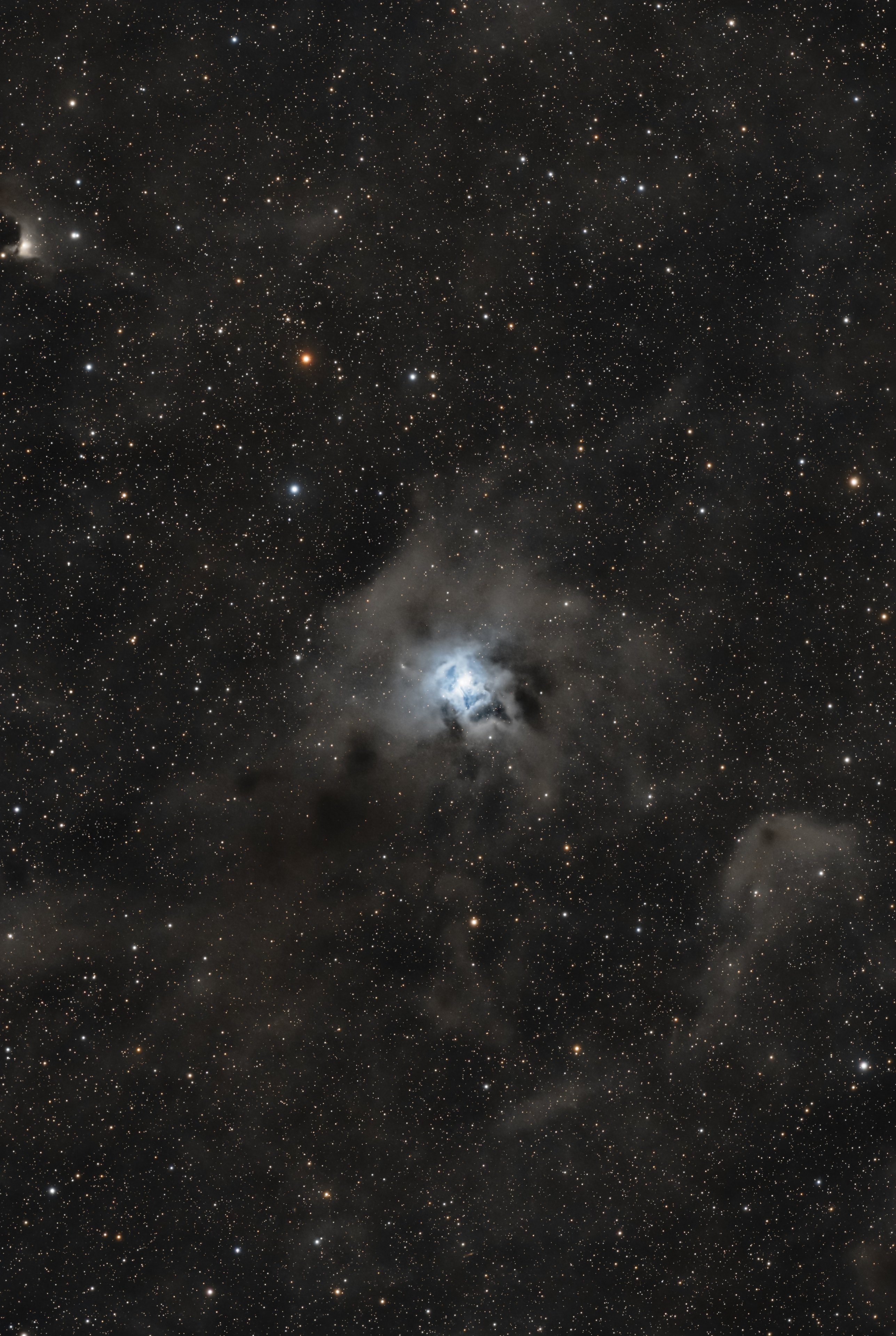 NGC7023 - Irisnebel