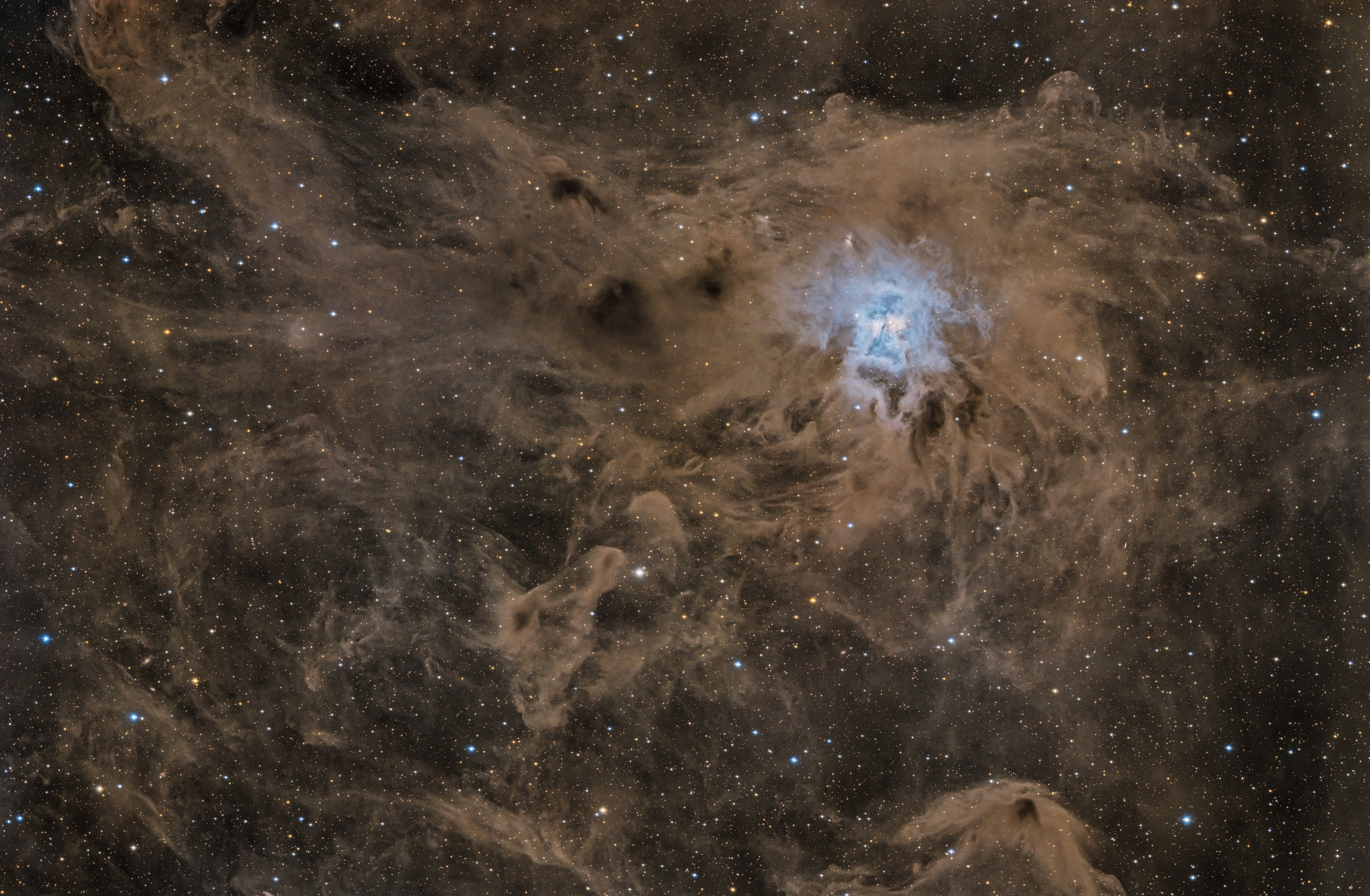 NGC7023 - schon wieder ;-)