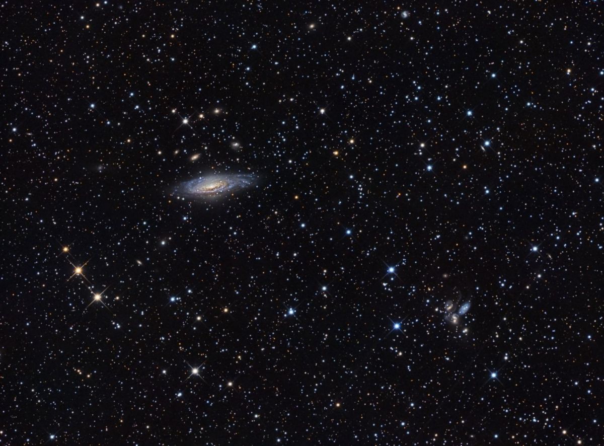 NGC7331