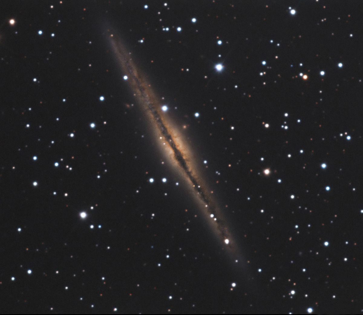 ngc891