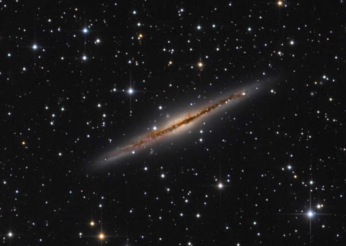 NGC891